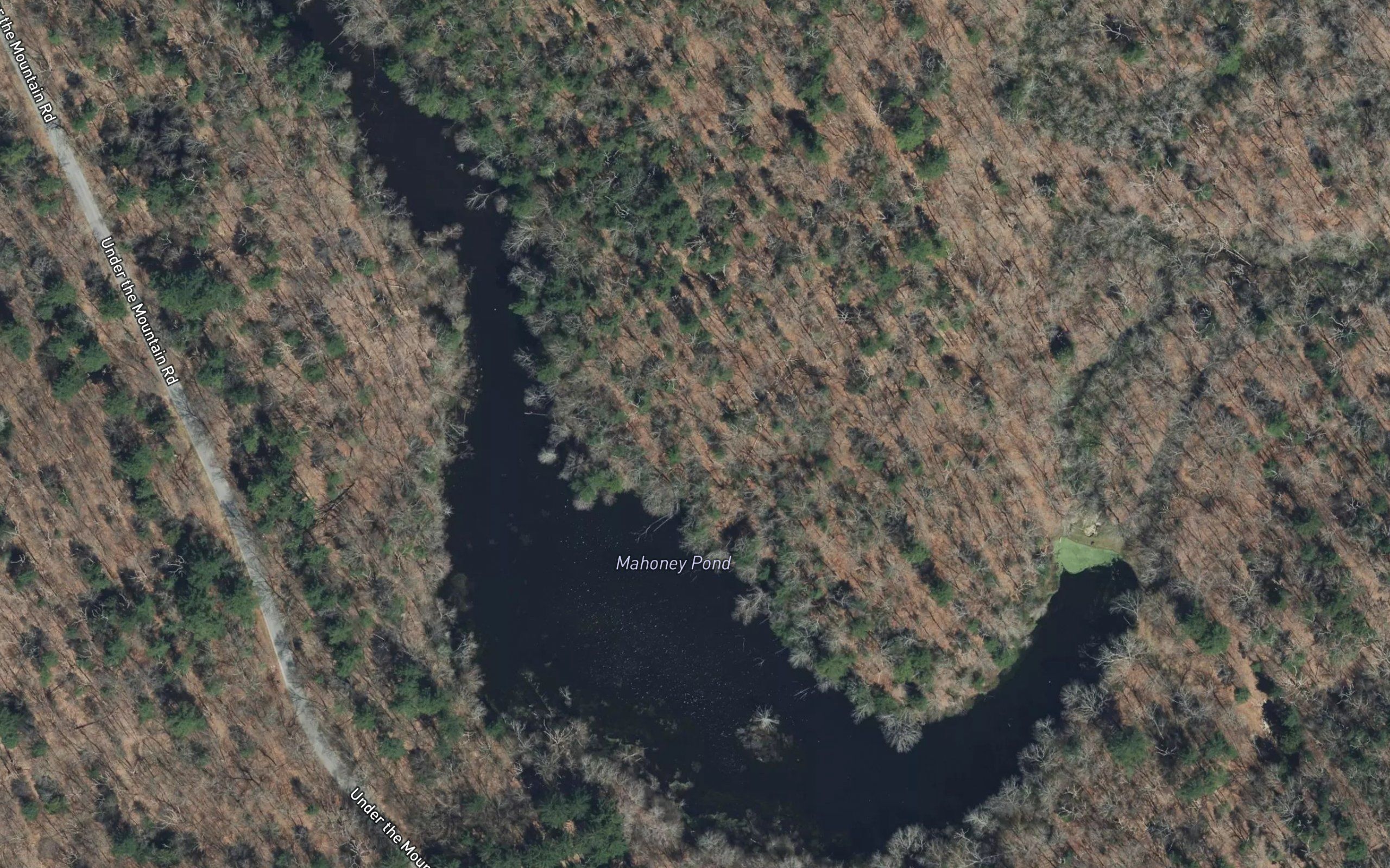 Mahoney Pond