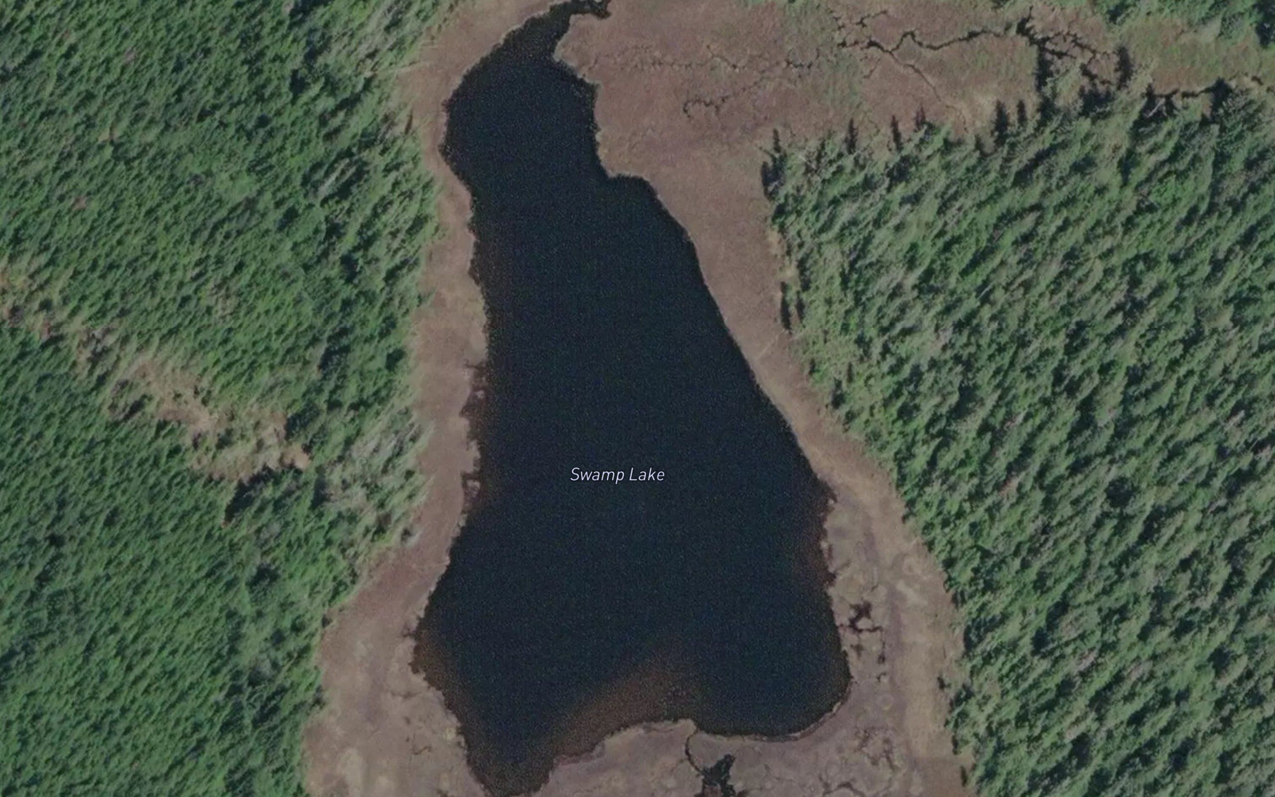 Swamp Lake