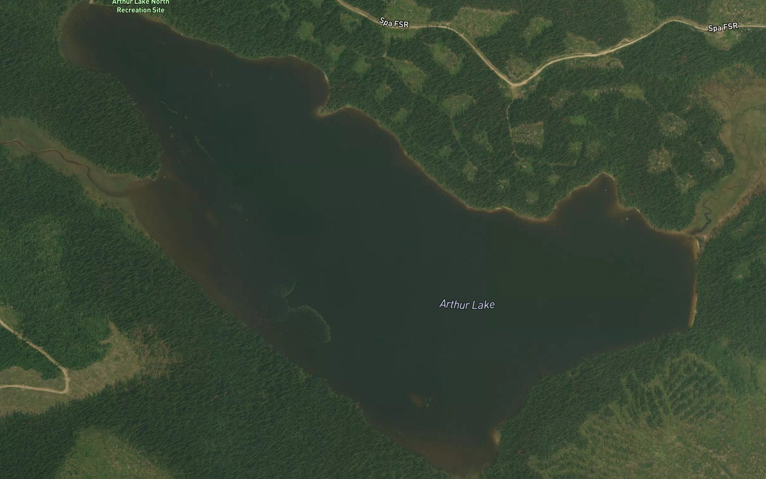 Arthur Lake