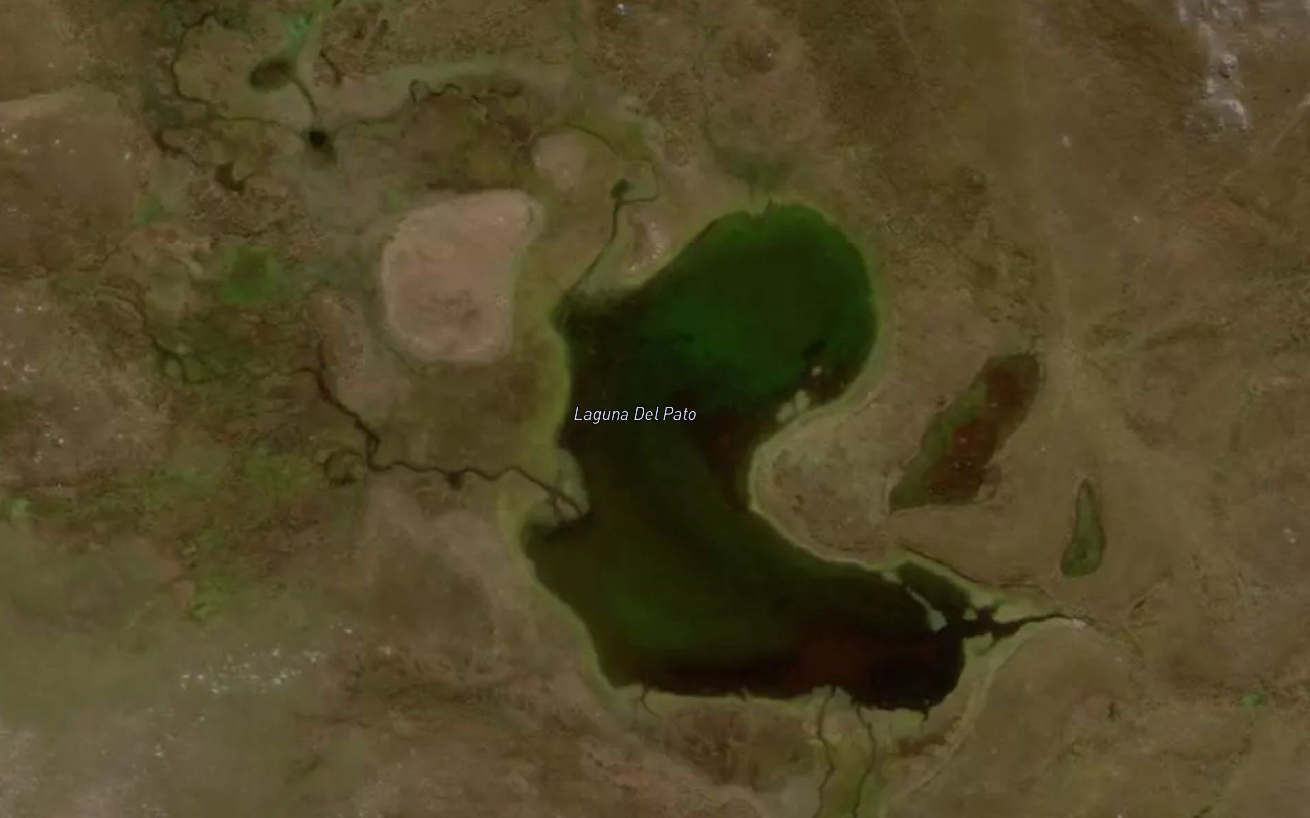 Laguna del Pato