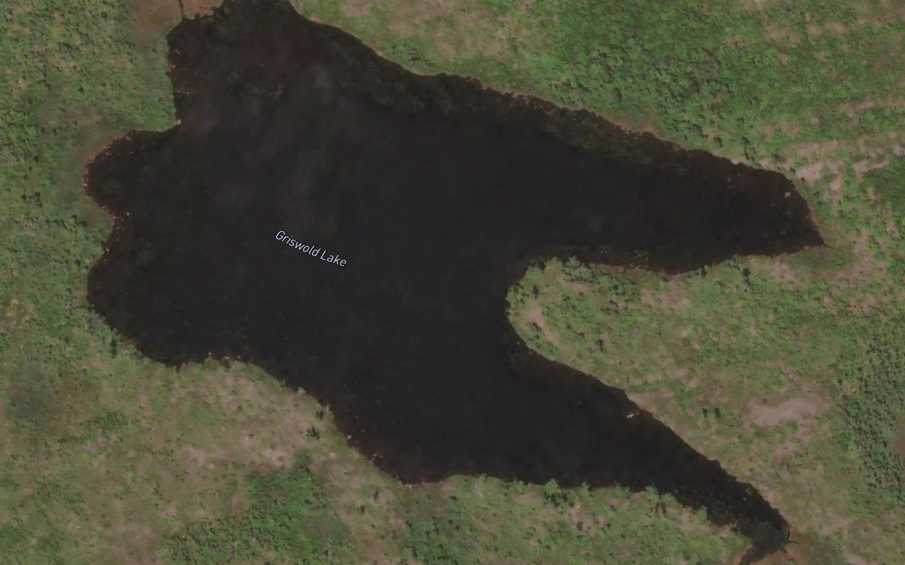 Satellite map of the Griswold Lake