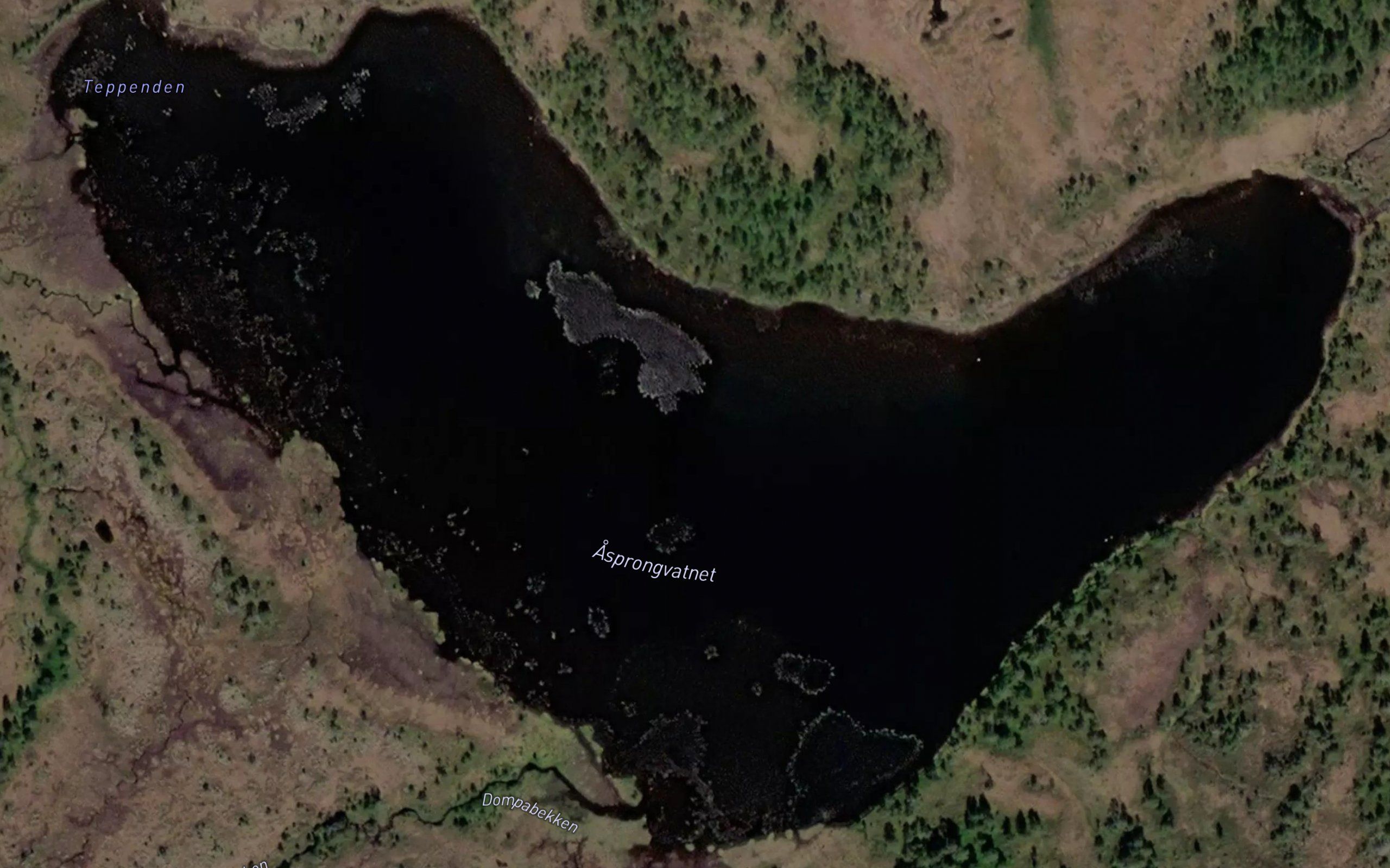 Asprongvatnet