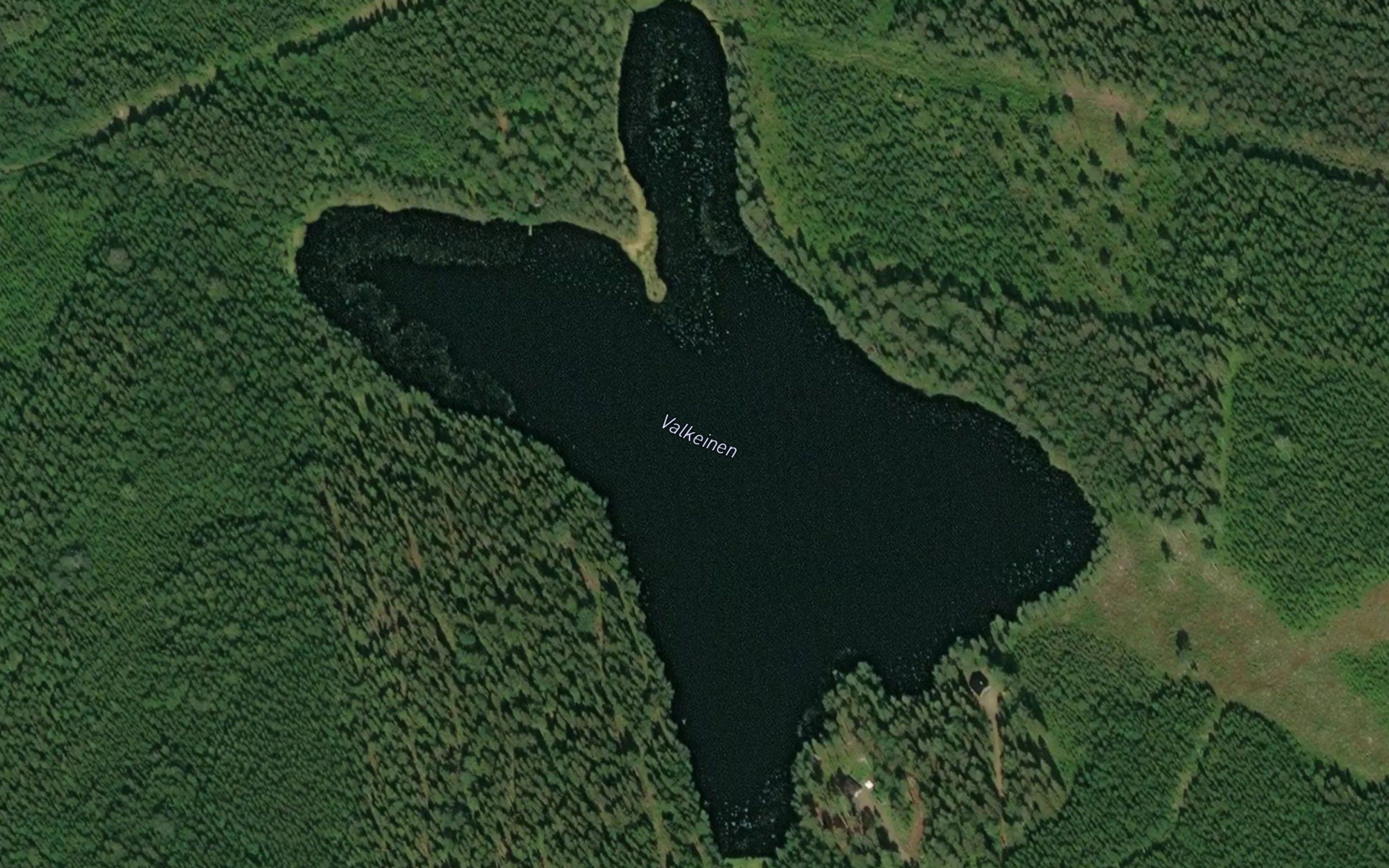 Valkeinen