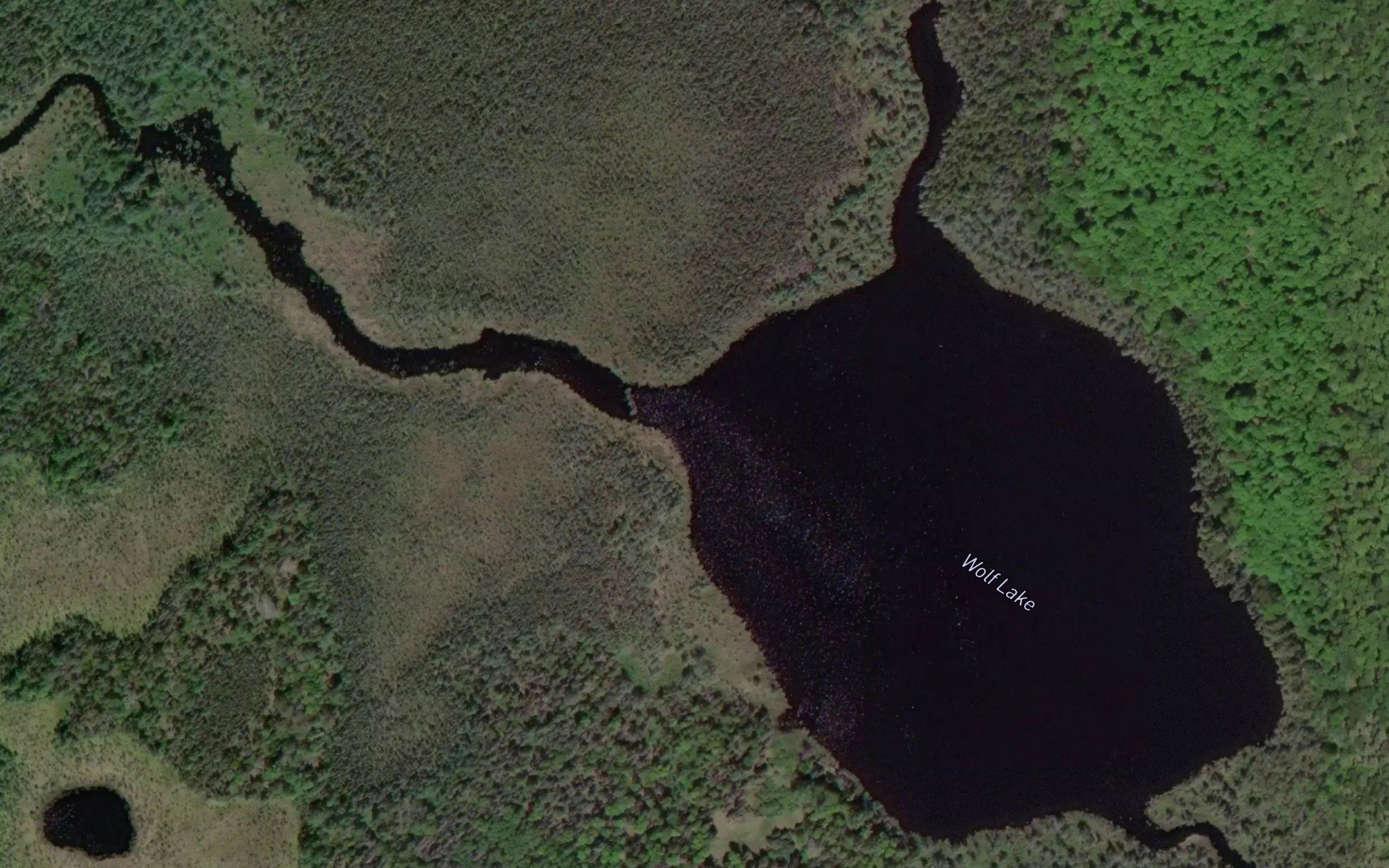 Wolf Lake