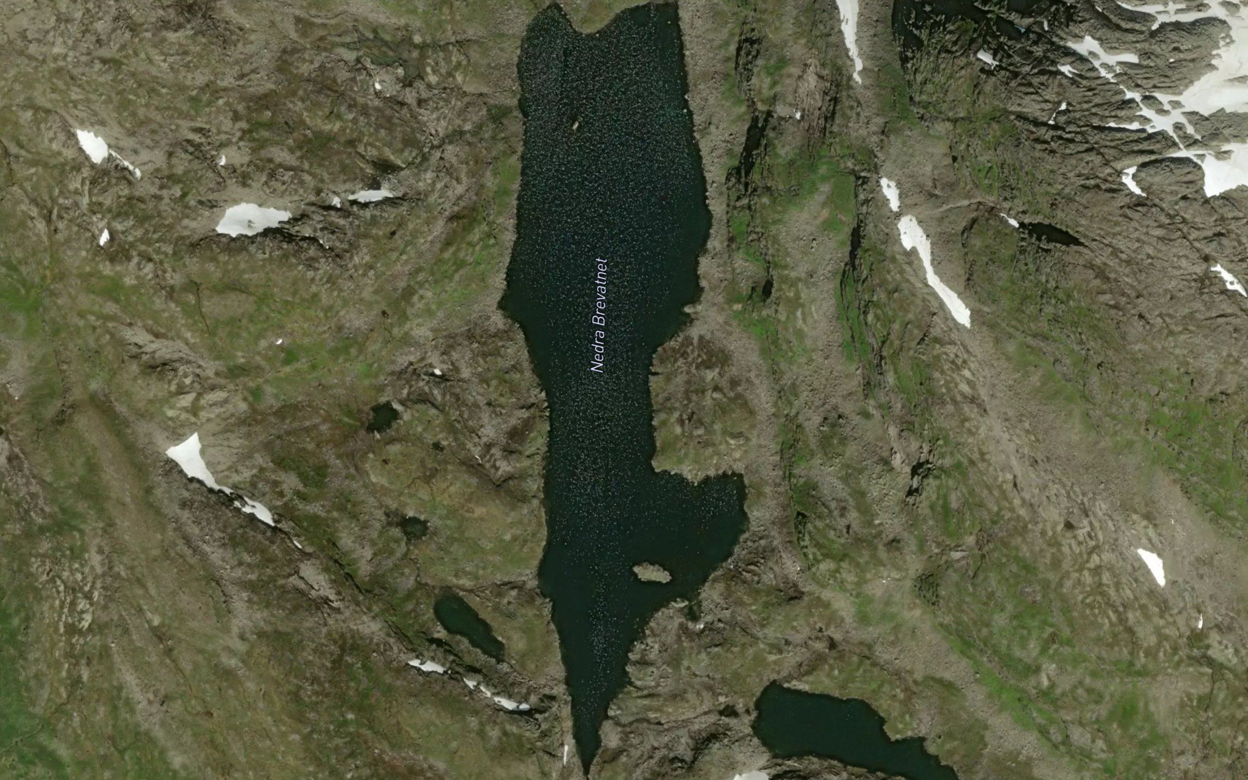 Nedra Brevatnet