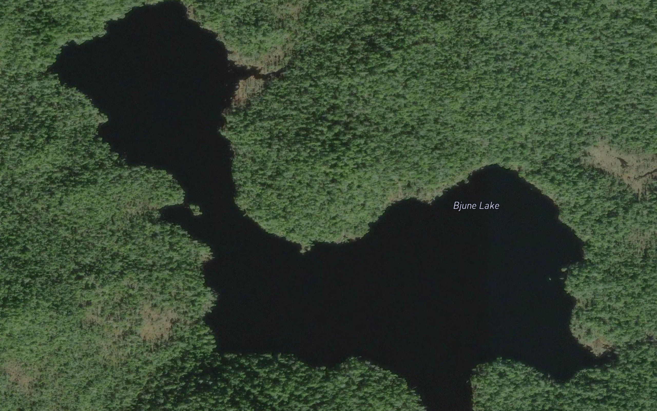 Bjune Lake