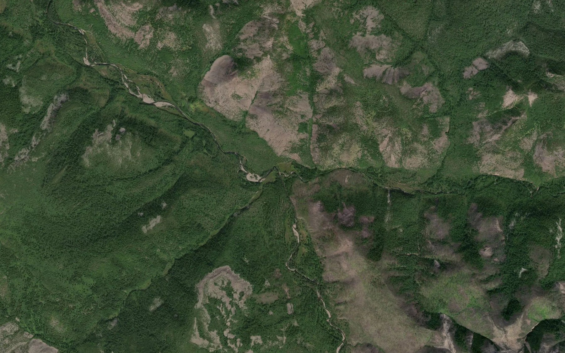 Satellite map of the Medovyy