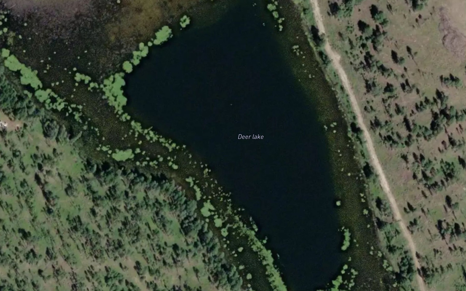 Satellite map of the Deer Lake