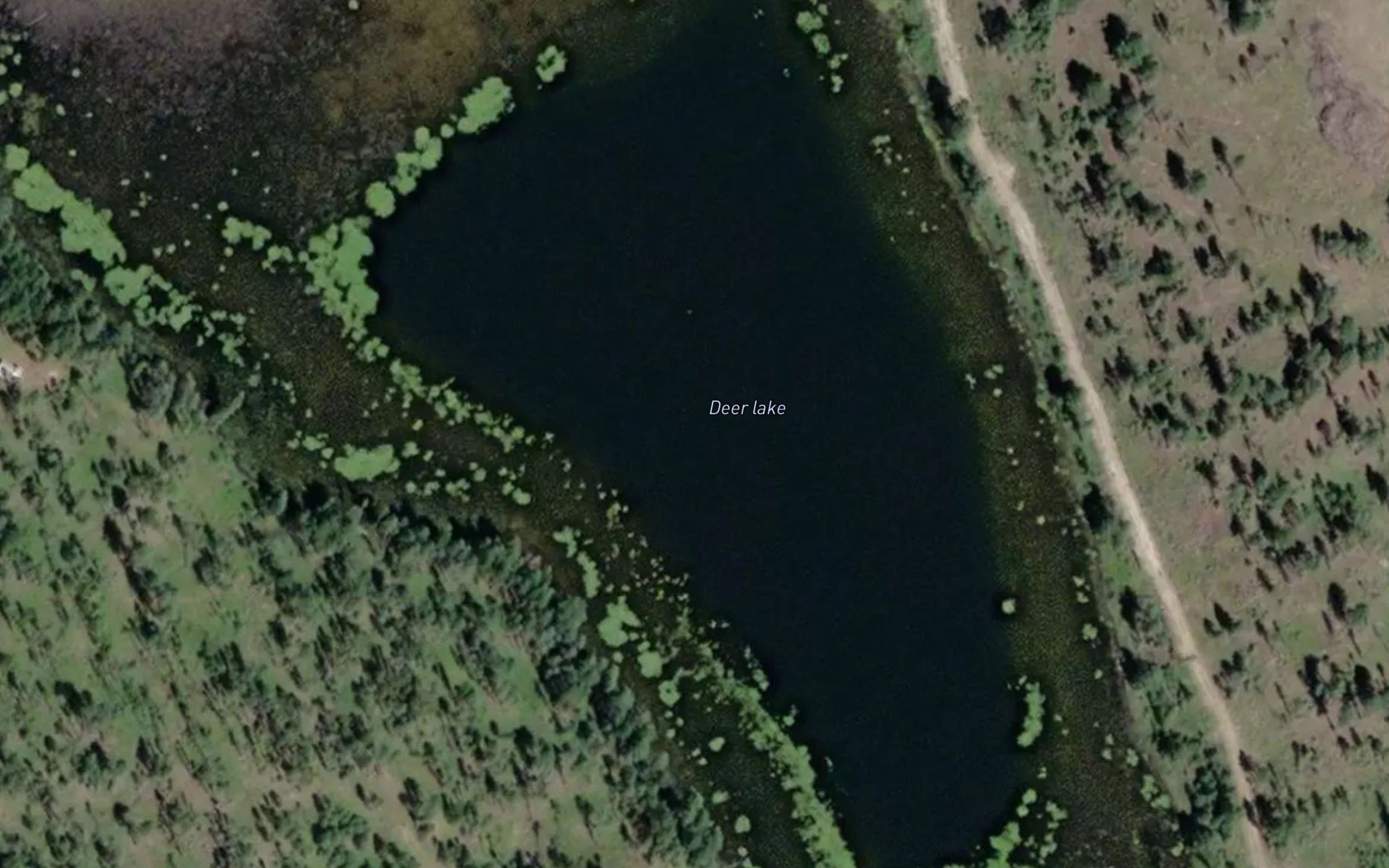 Deer Lake