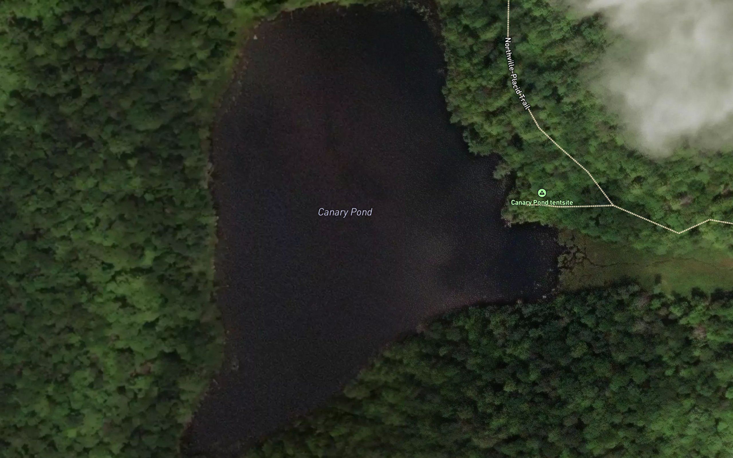 Canary Pond