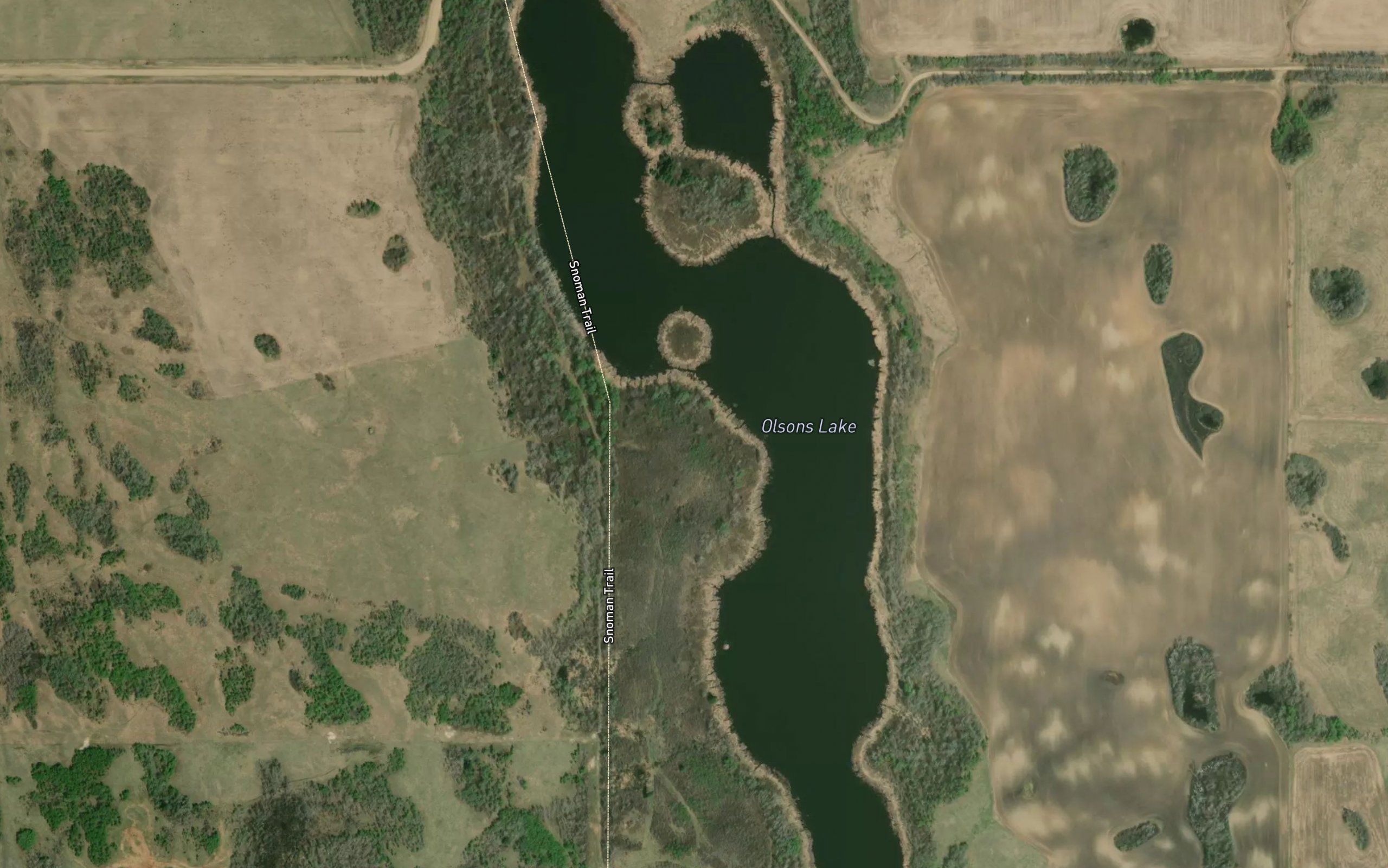 Olsons Lake