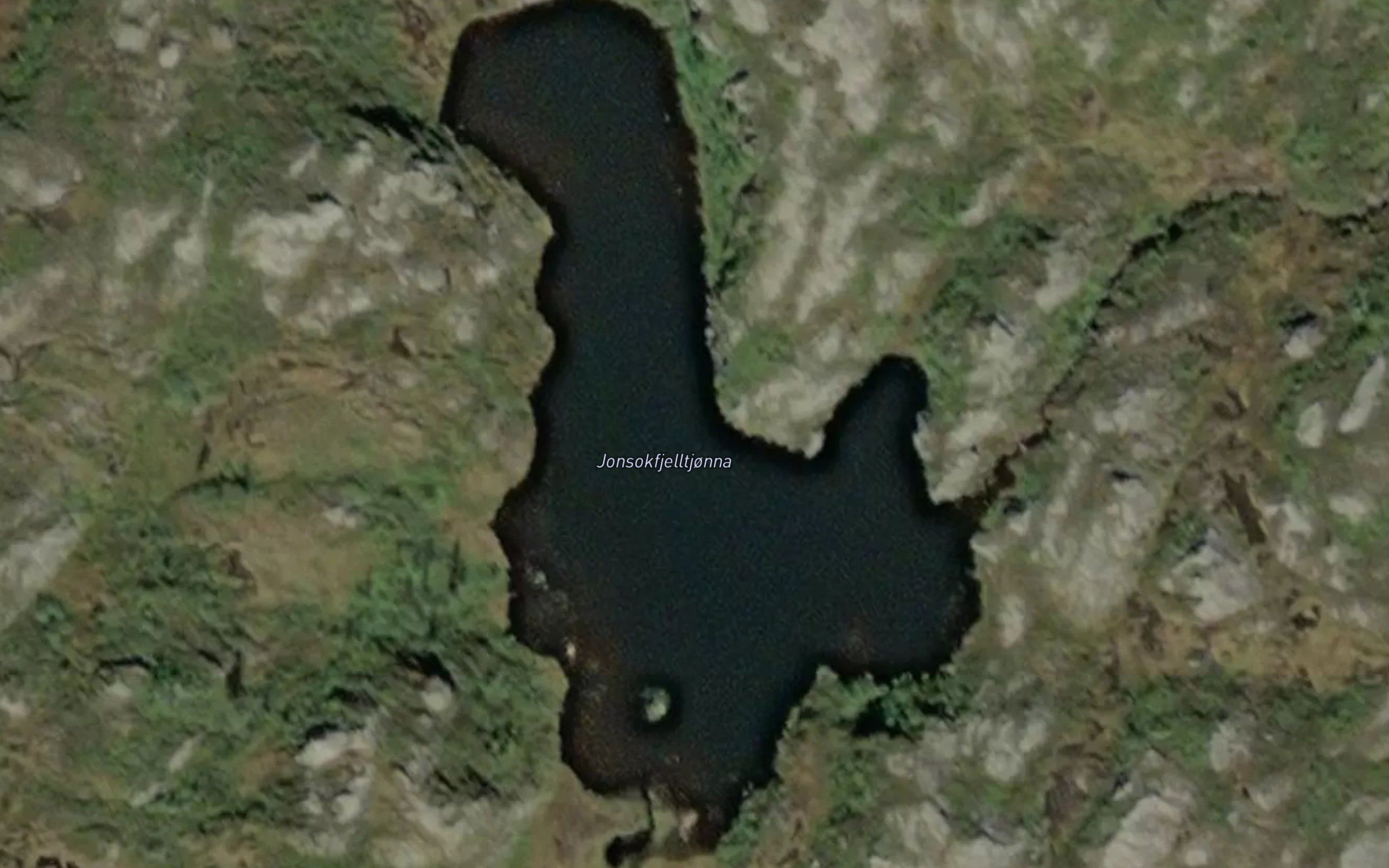 Jonsokfjelltjonna
