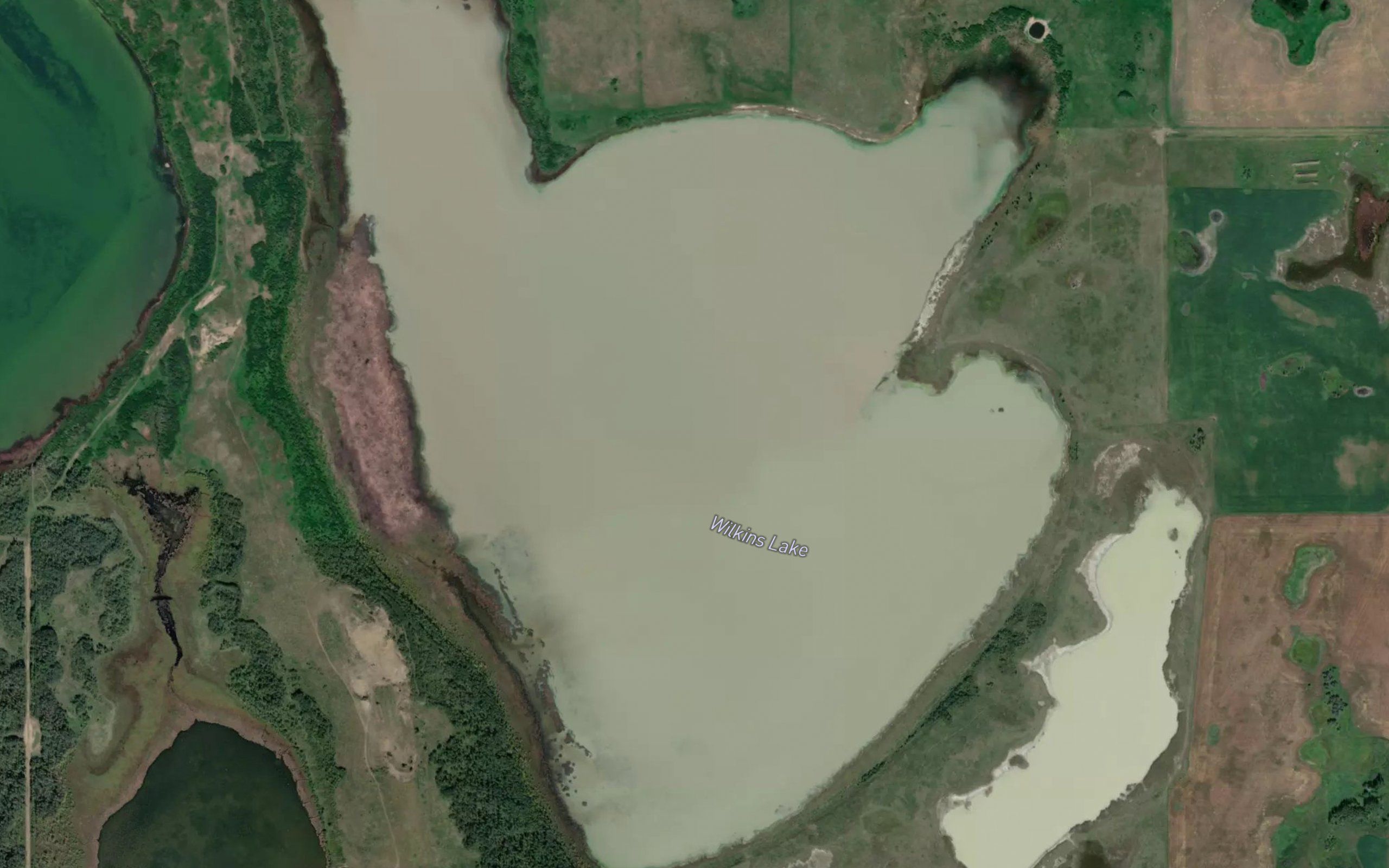 Wilkins Lake