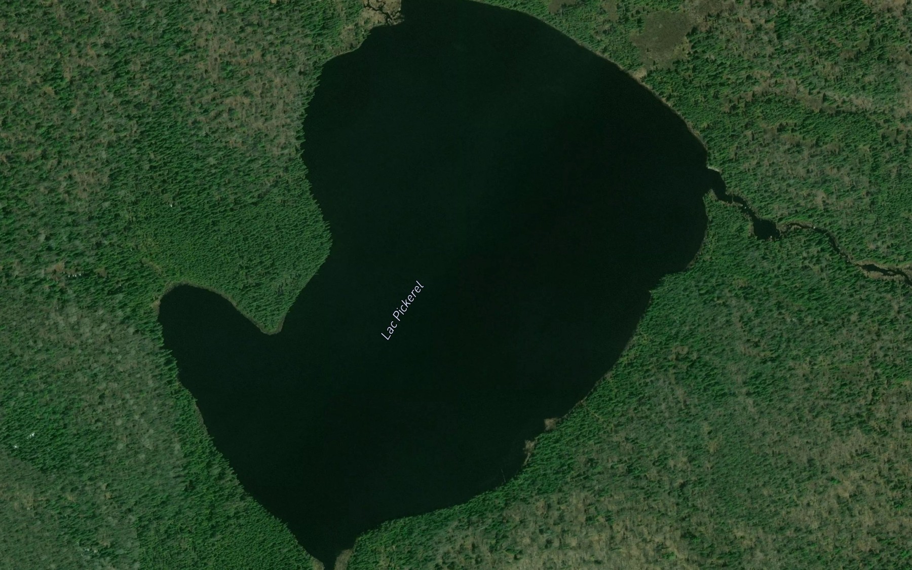 Satellite map of the Lac Pickerel
