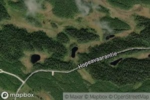 Honkilammit