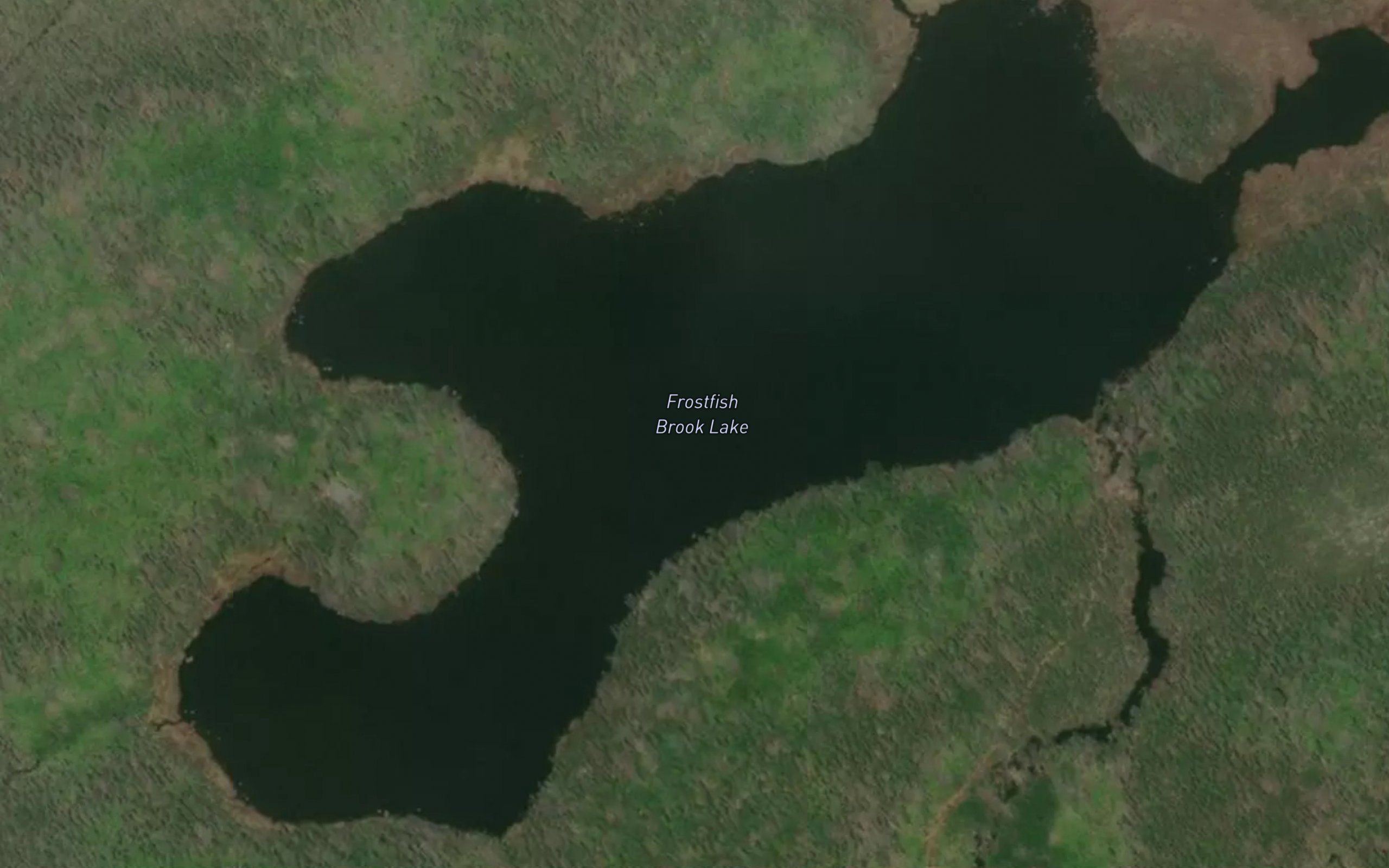 Frostfish Brook Lake