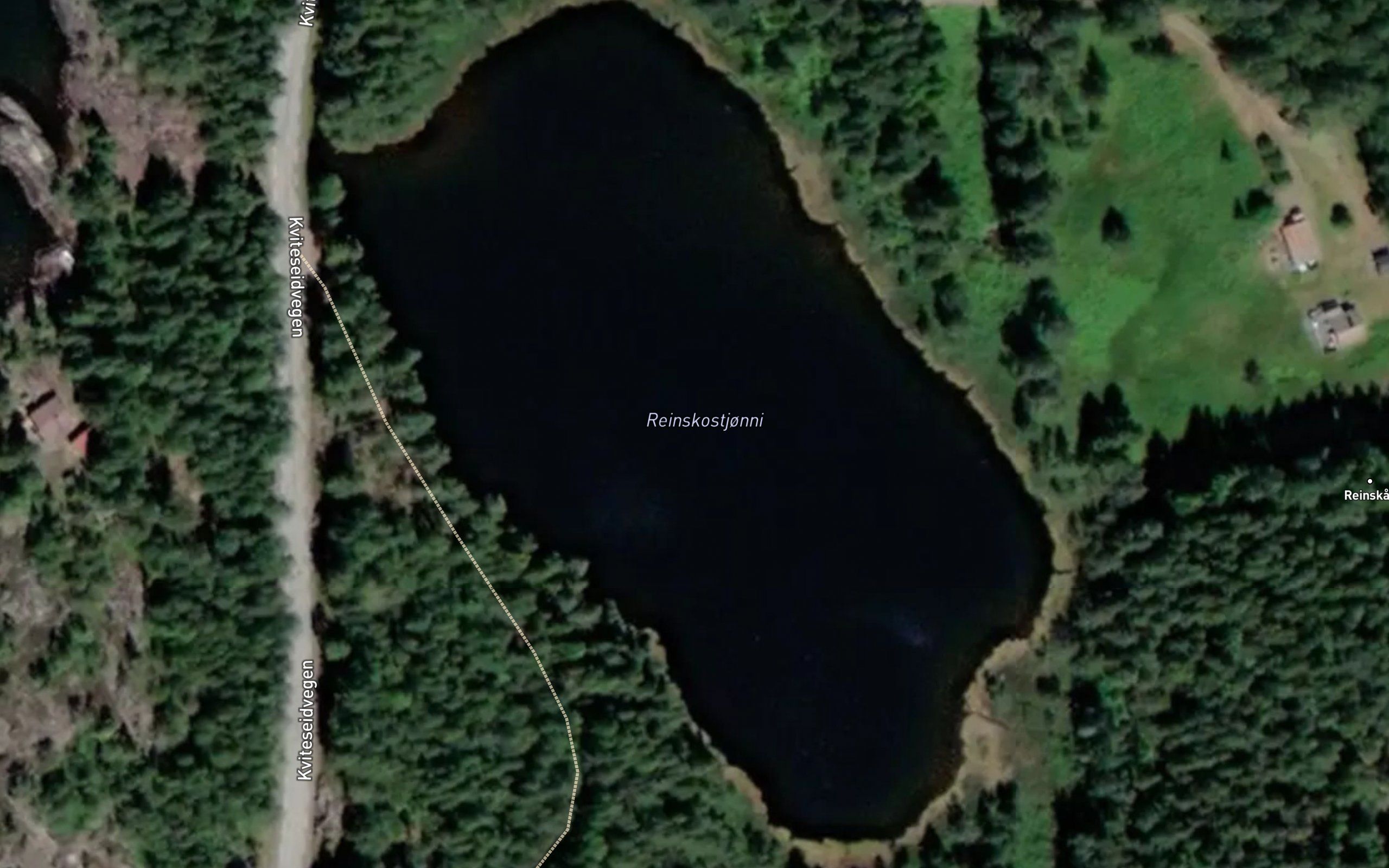 Reinskostjonni