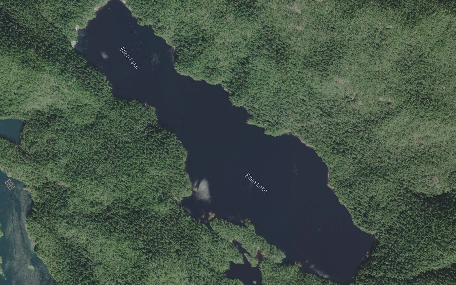 Satellite map of the Ellen Lake