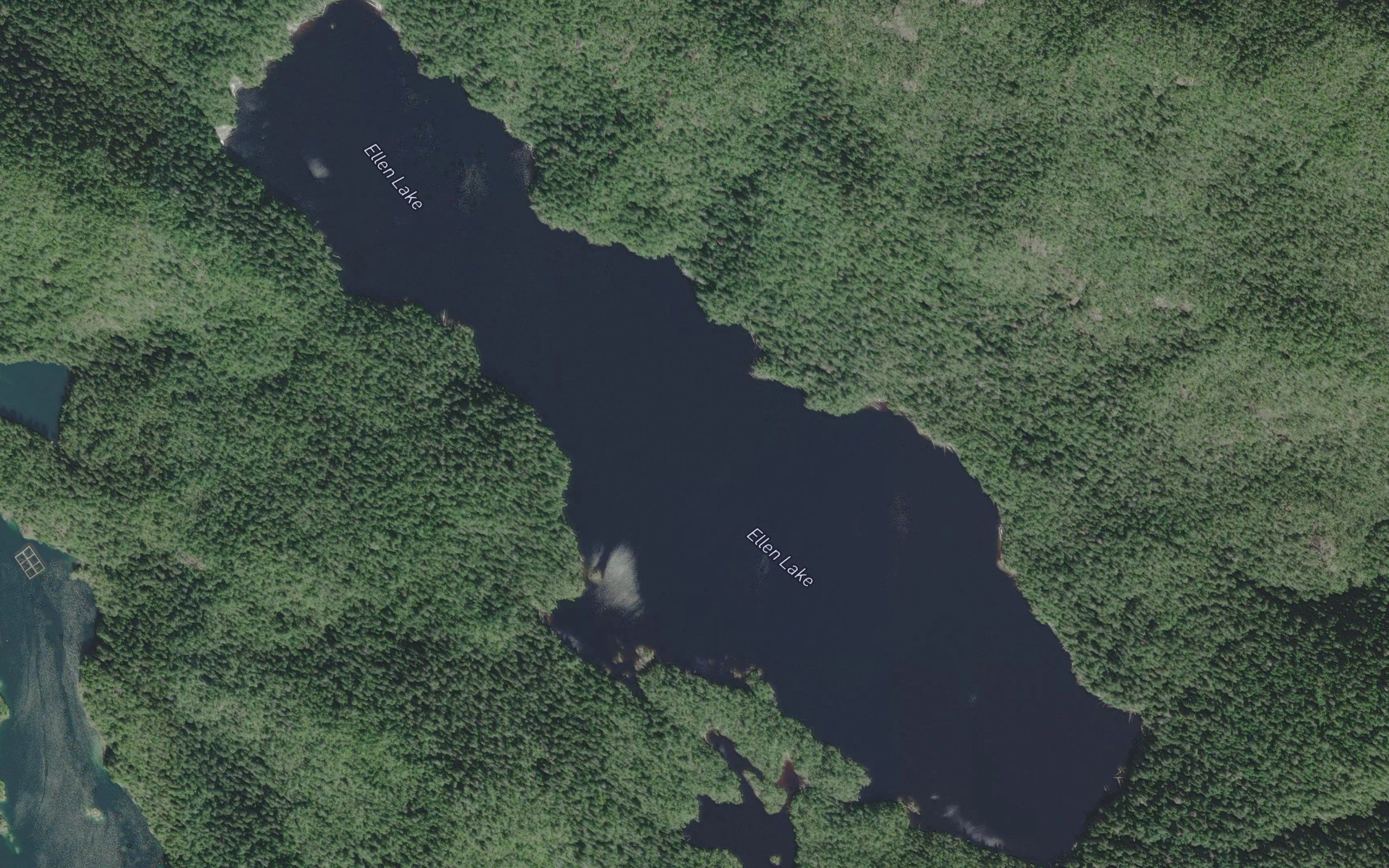 Ellen Lake