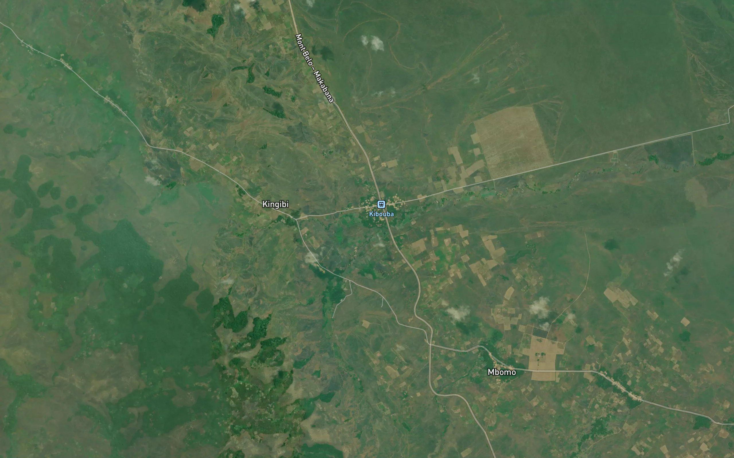Kingimbi