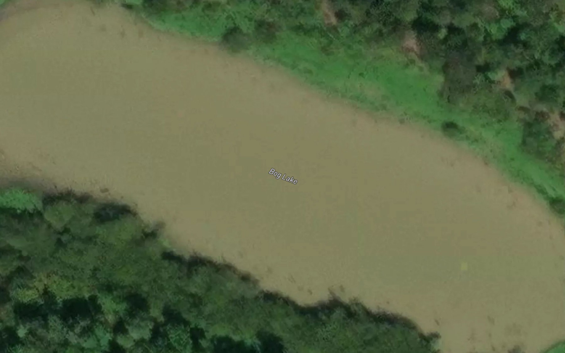 Satellite map of the Bog Lake