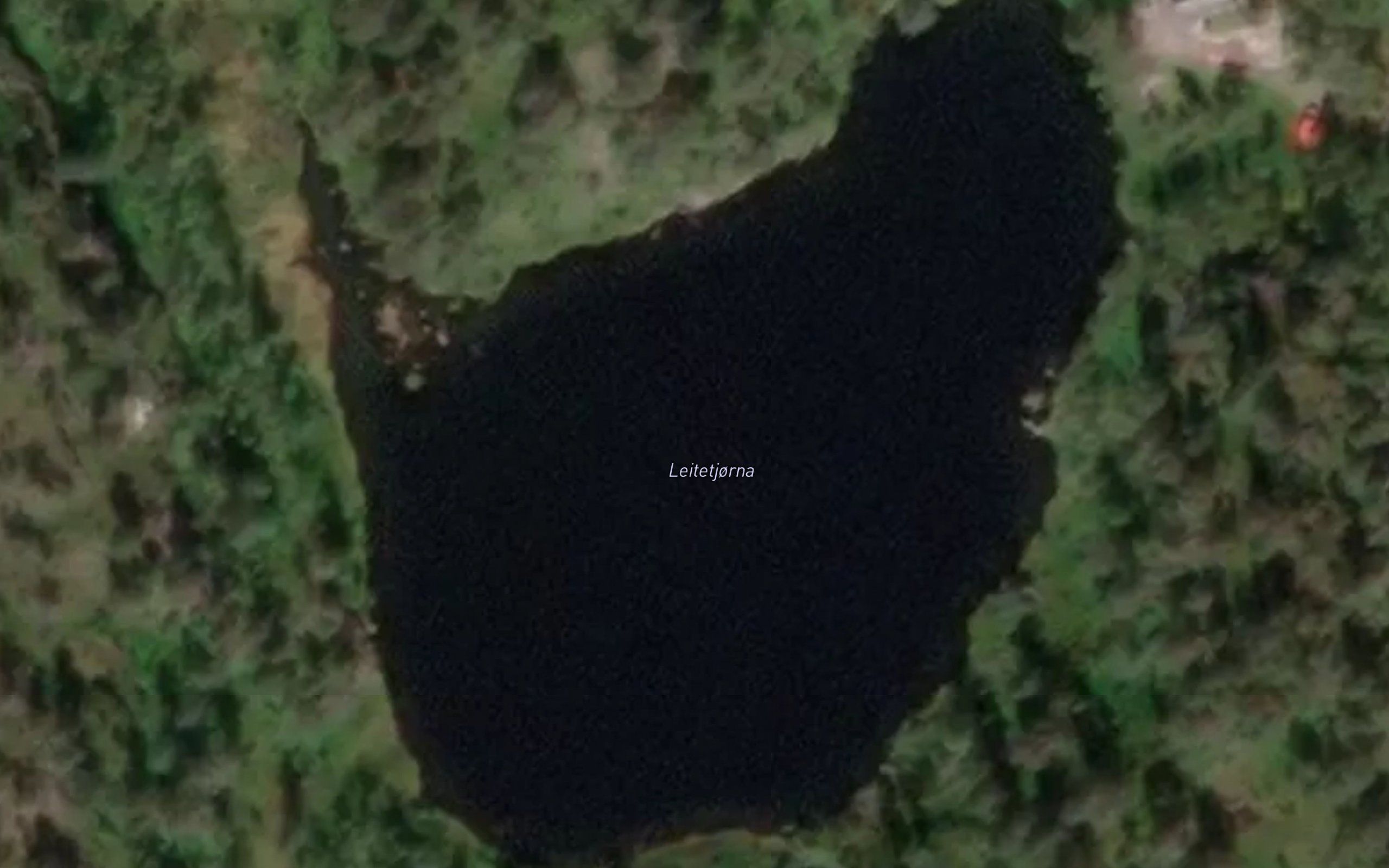 Leitetjorni