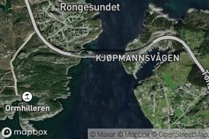 Rongesundet