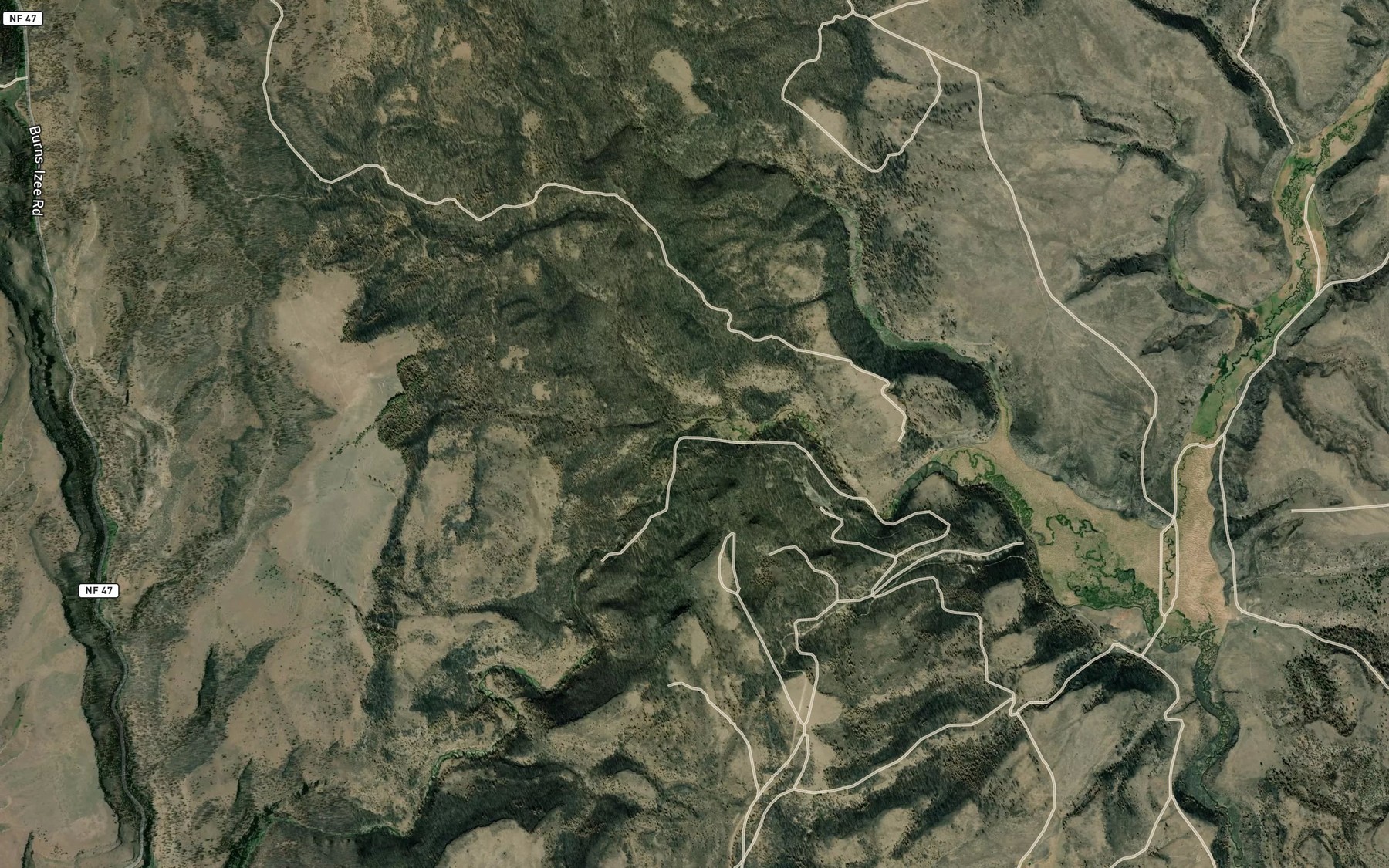 Satellite map of the Beaverdam Creek