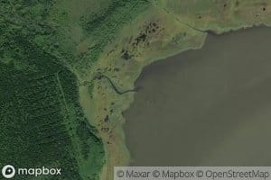Krivaya