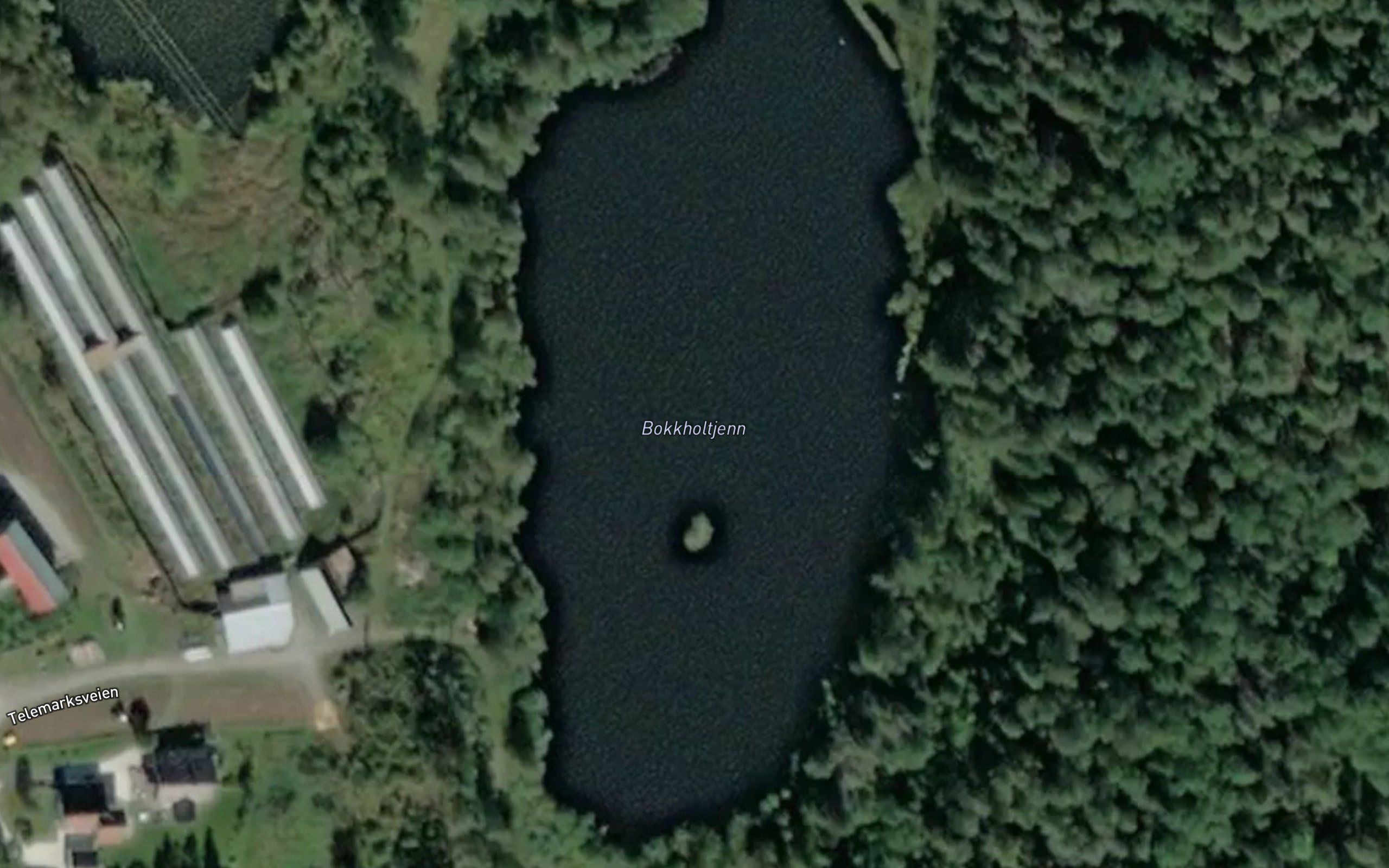 Bokkholttjenn