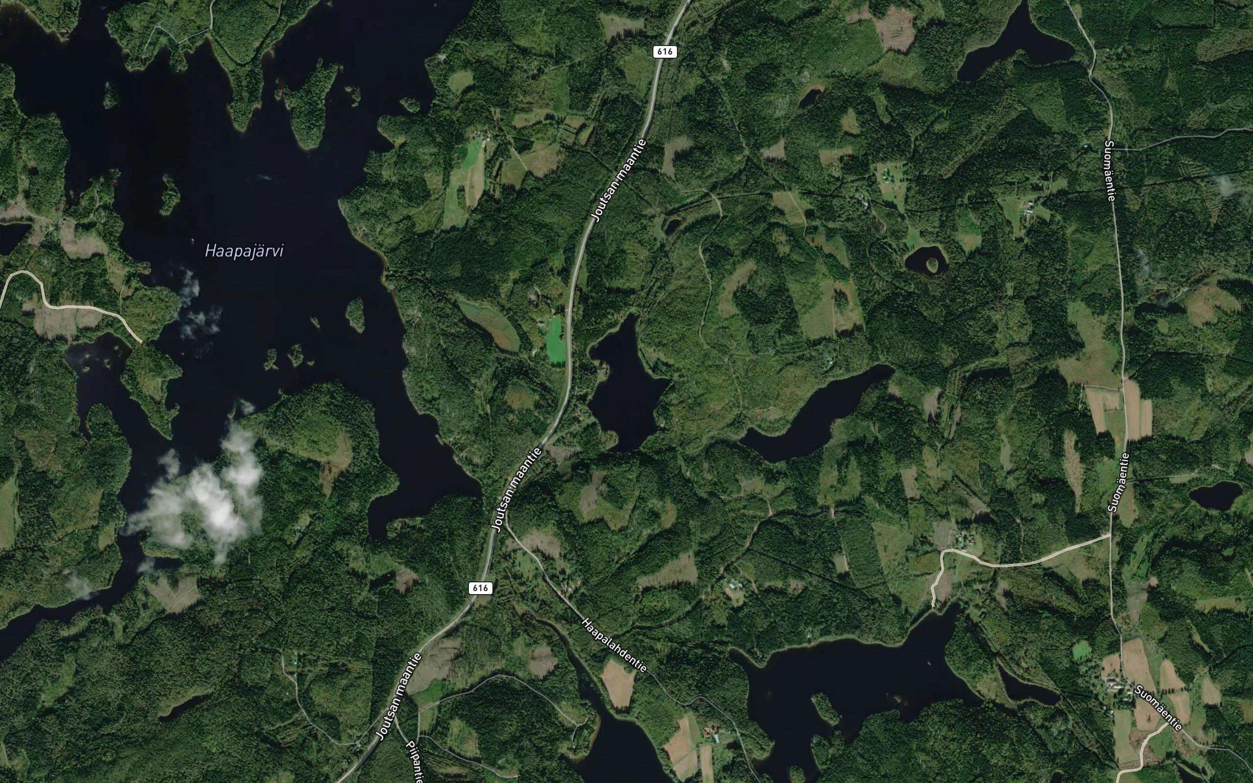 Kortelampi