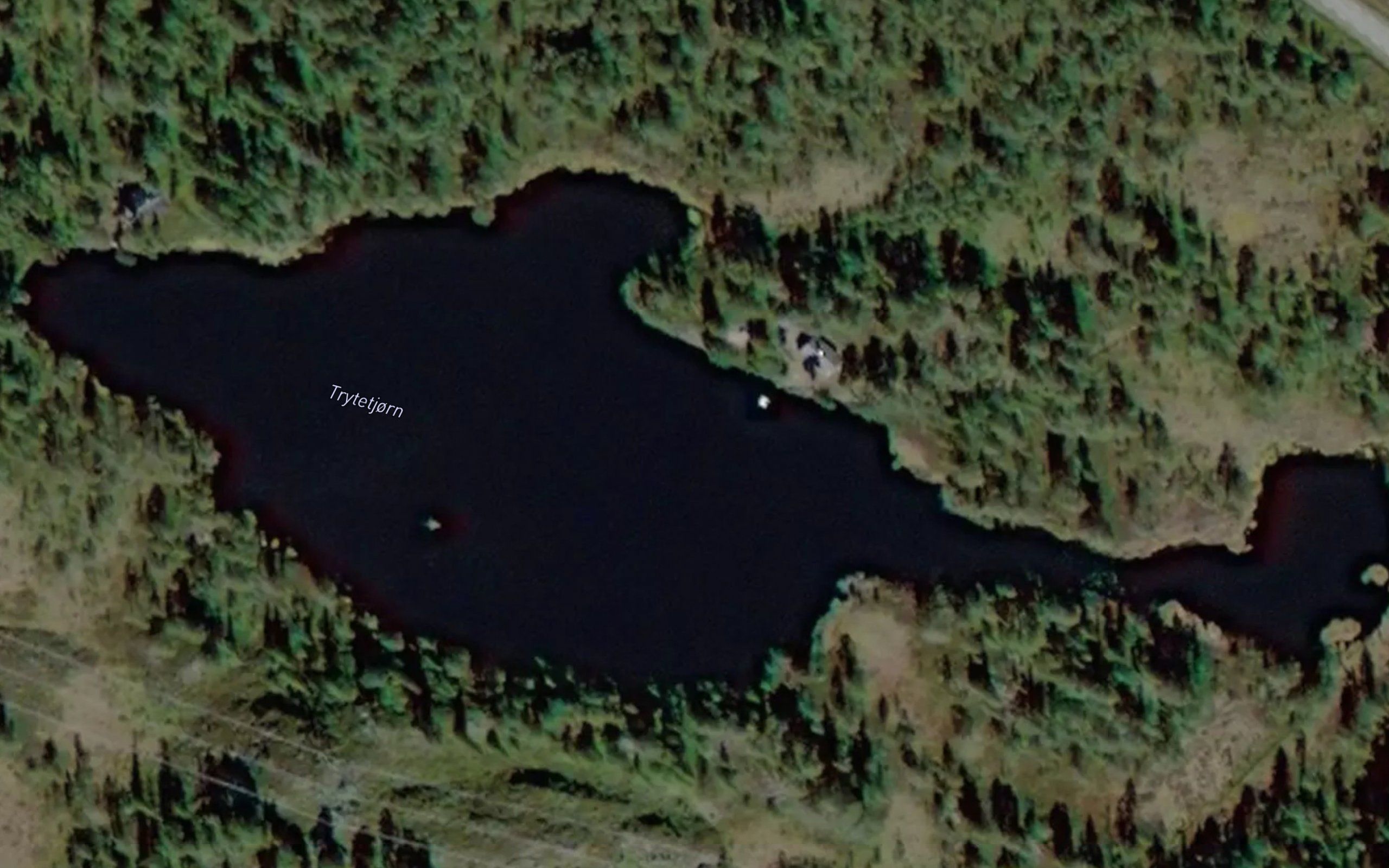 Trytetjorn