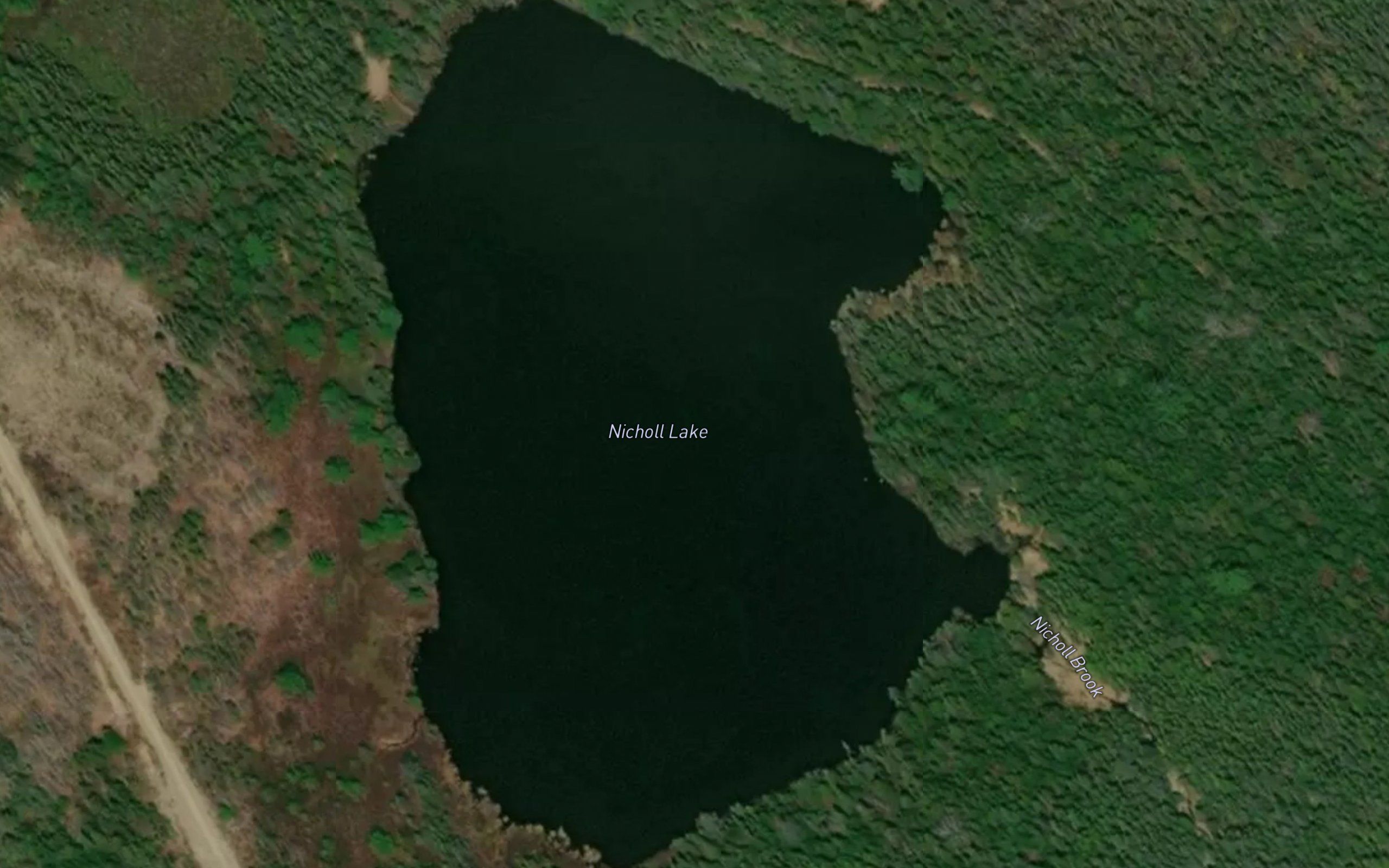 Nicholl Lake