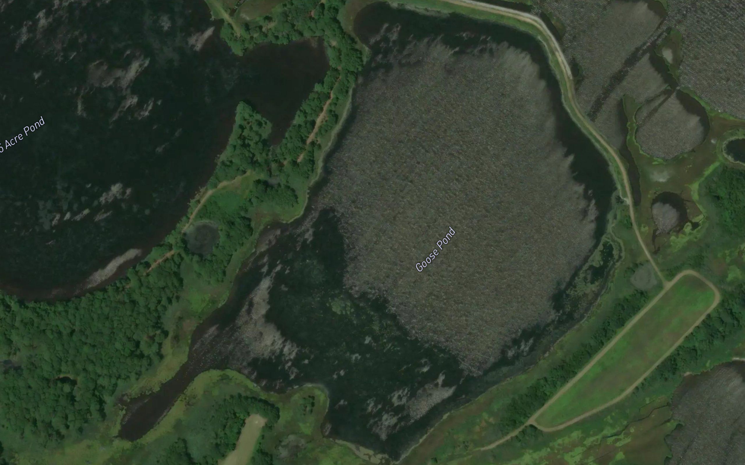 Goose Pond