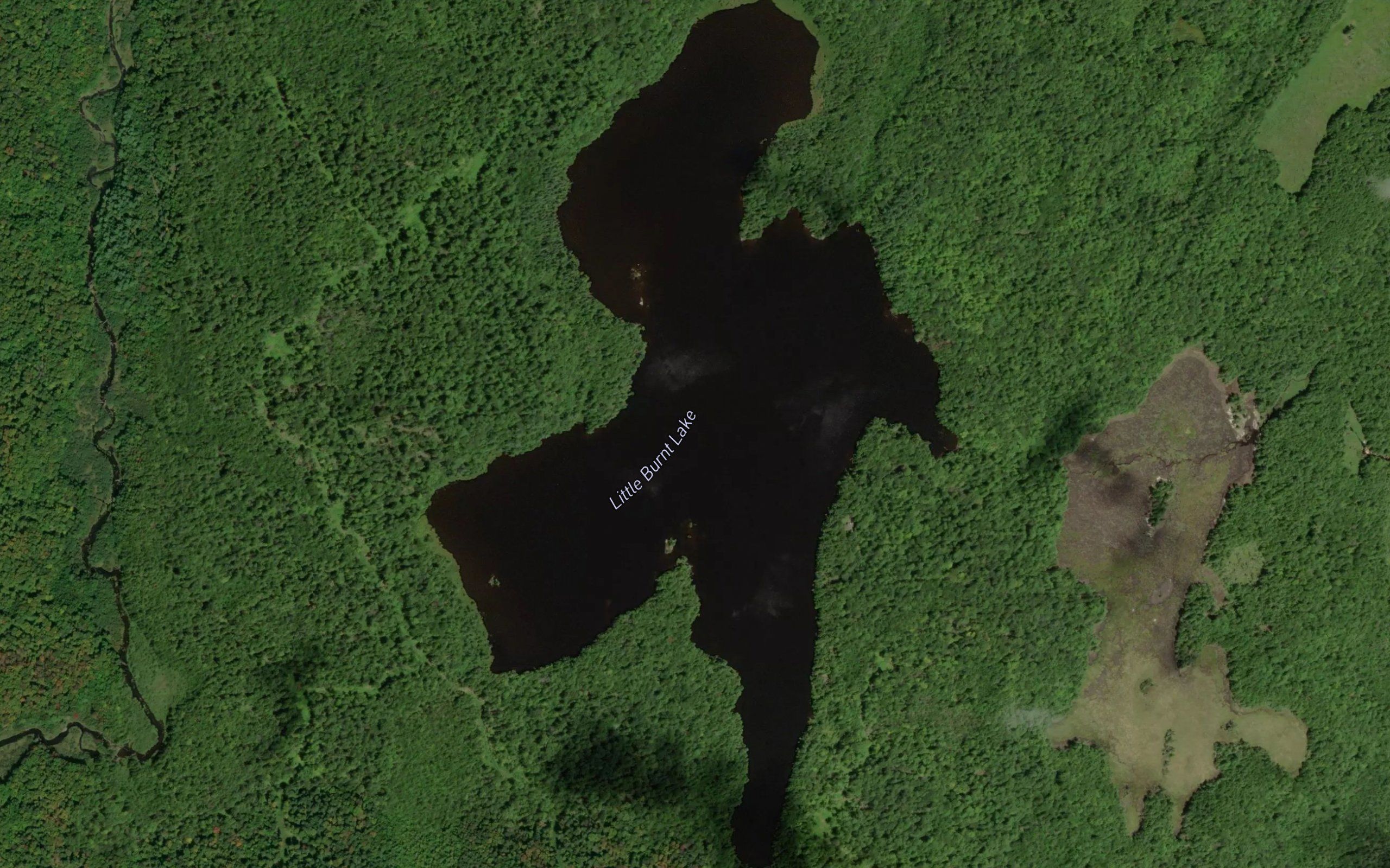 Little Burnt Lake