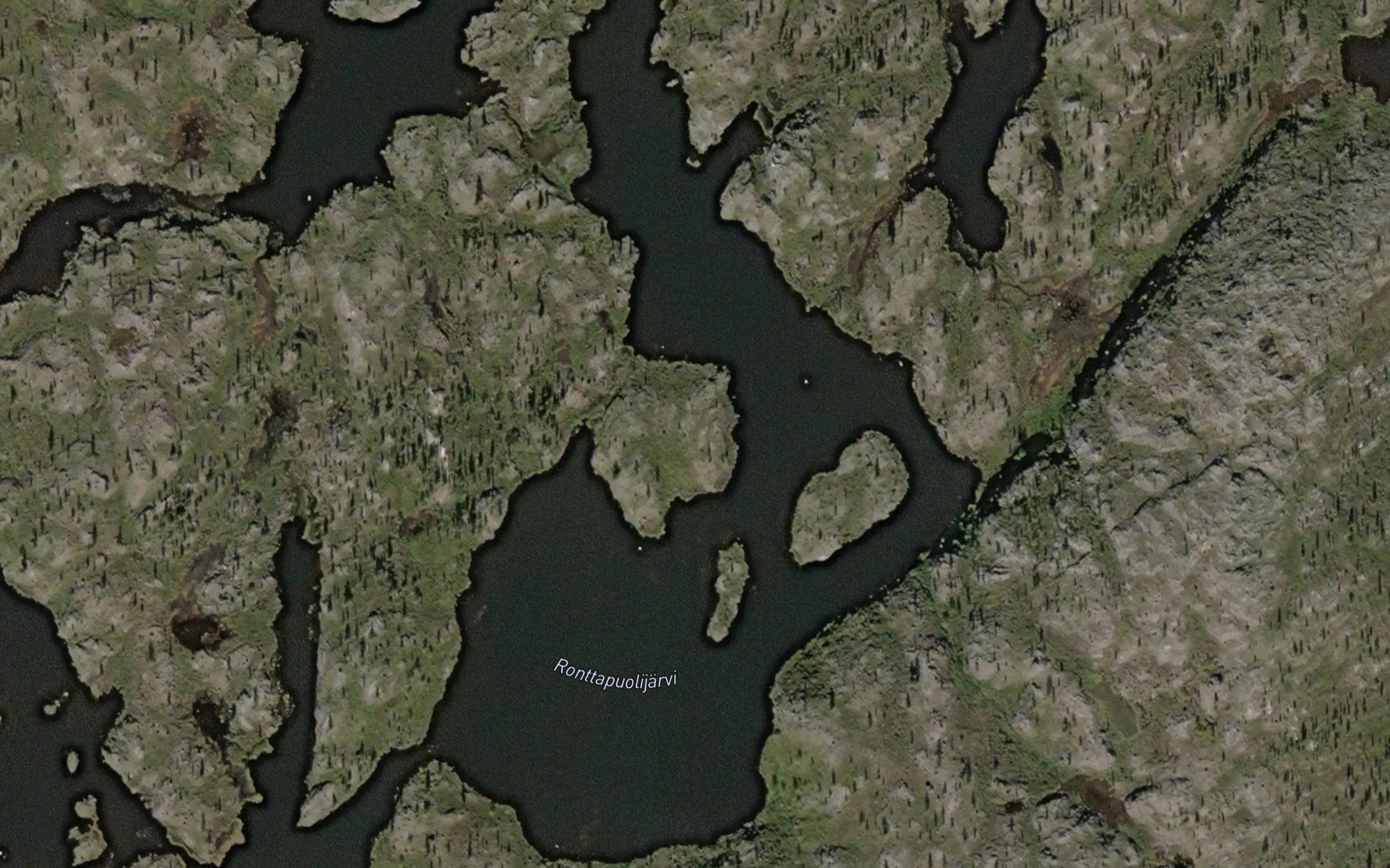 Ronttapuolijarvi