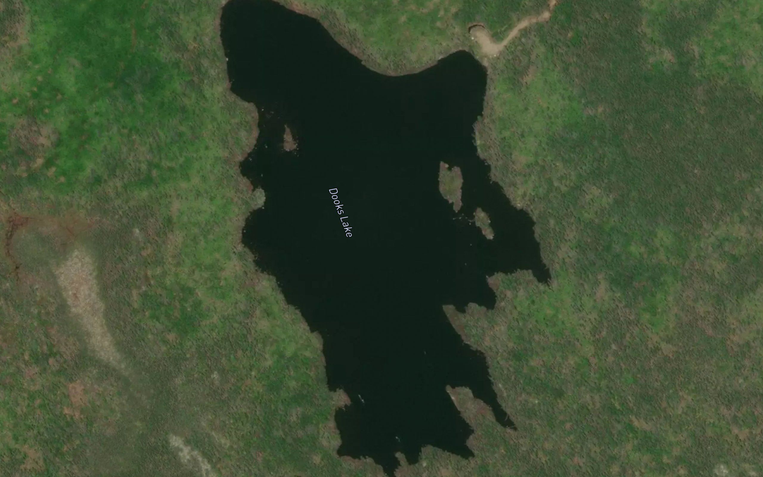 Dooks Lake
