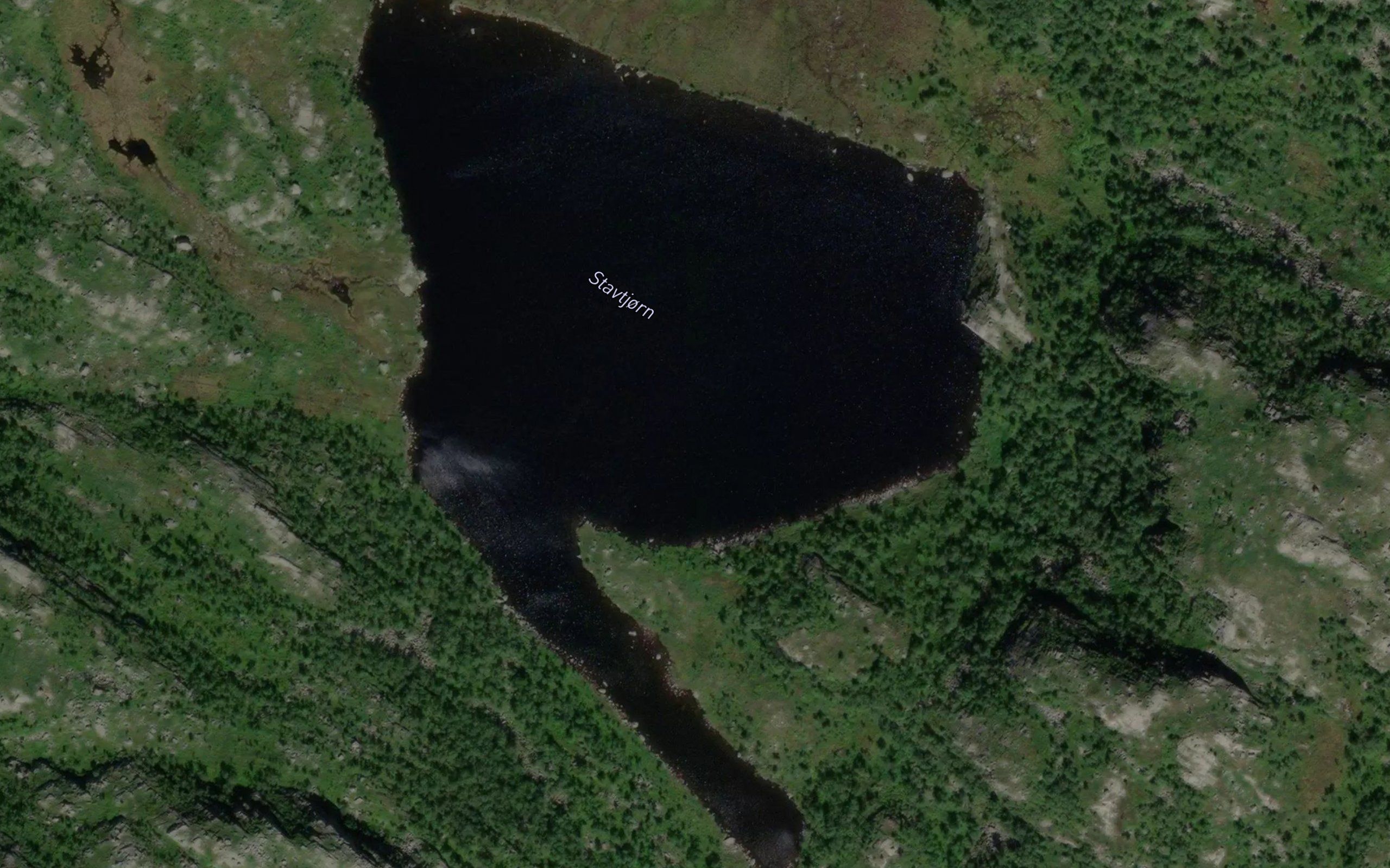 Stavtjorn