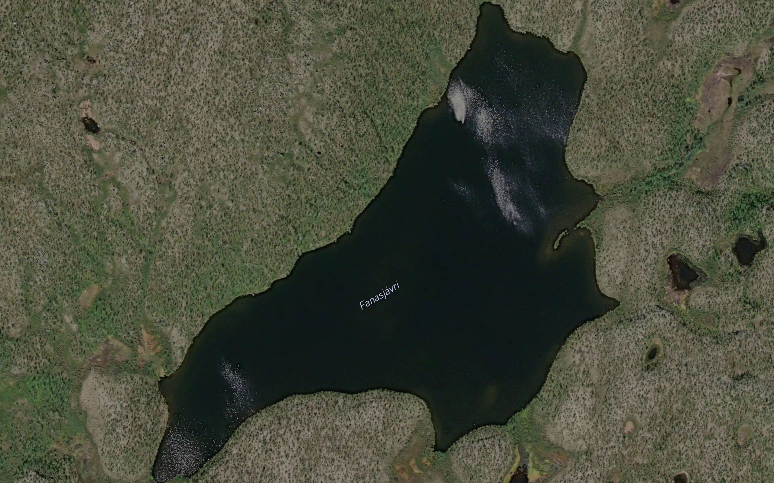 Fanasjavri