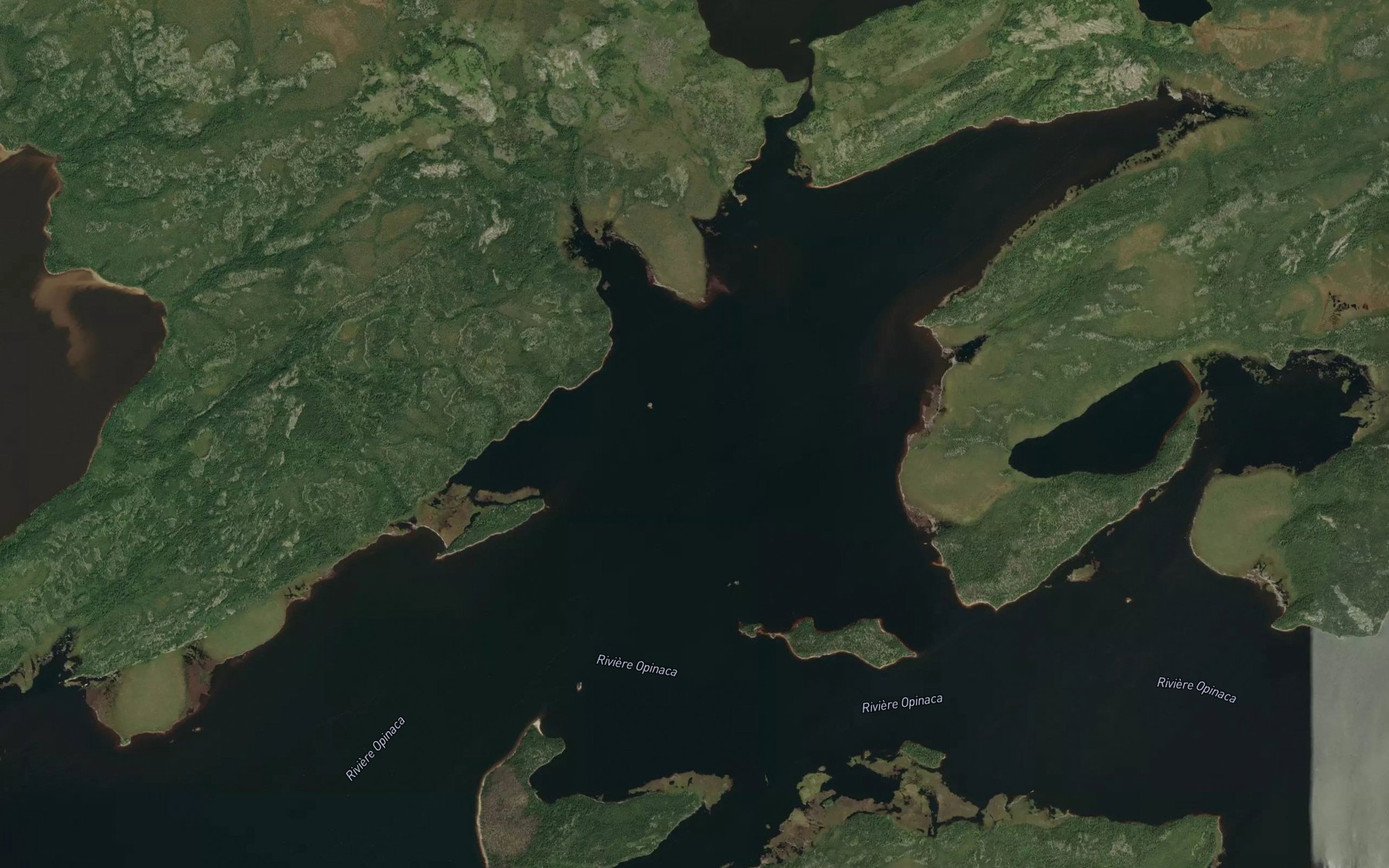 Satellite map of the Ruisseau Wapakusi