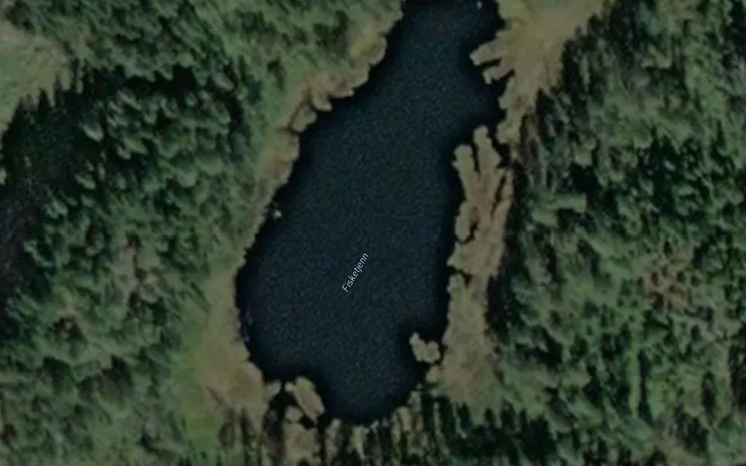 Fisketjern