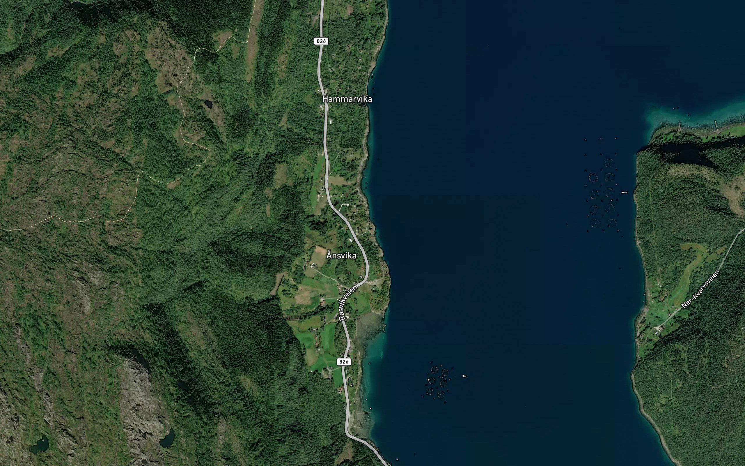 Gammelnaustvika