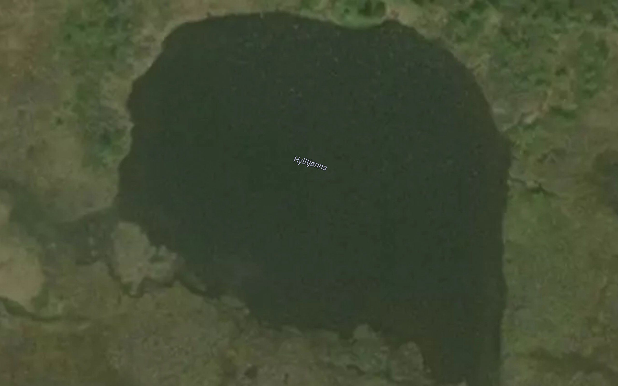 Hylltjorna