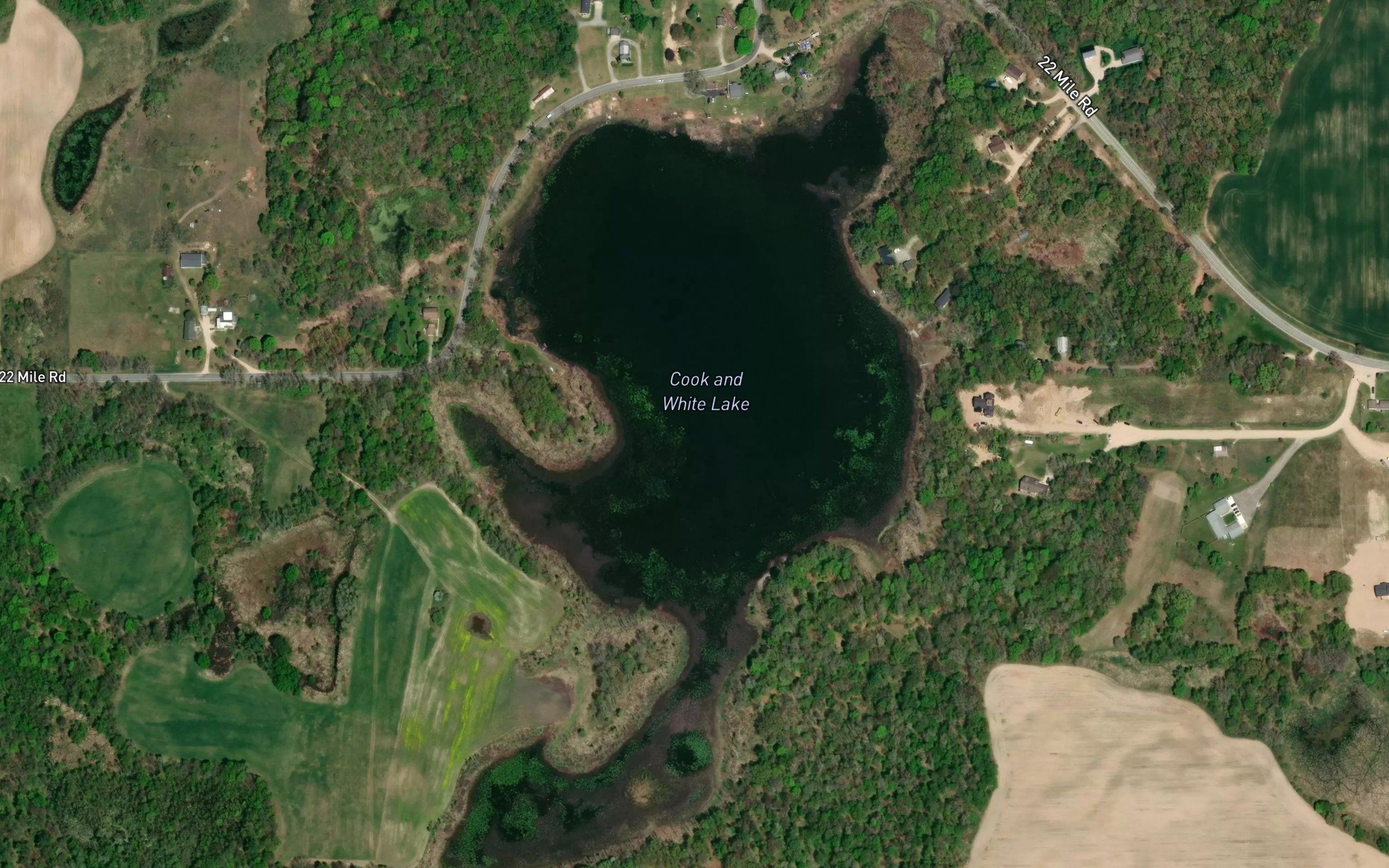 Cook and White Lake
