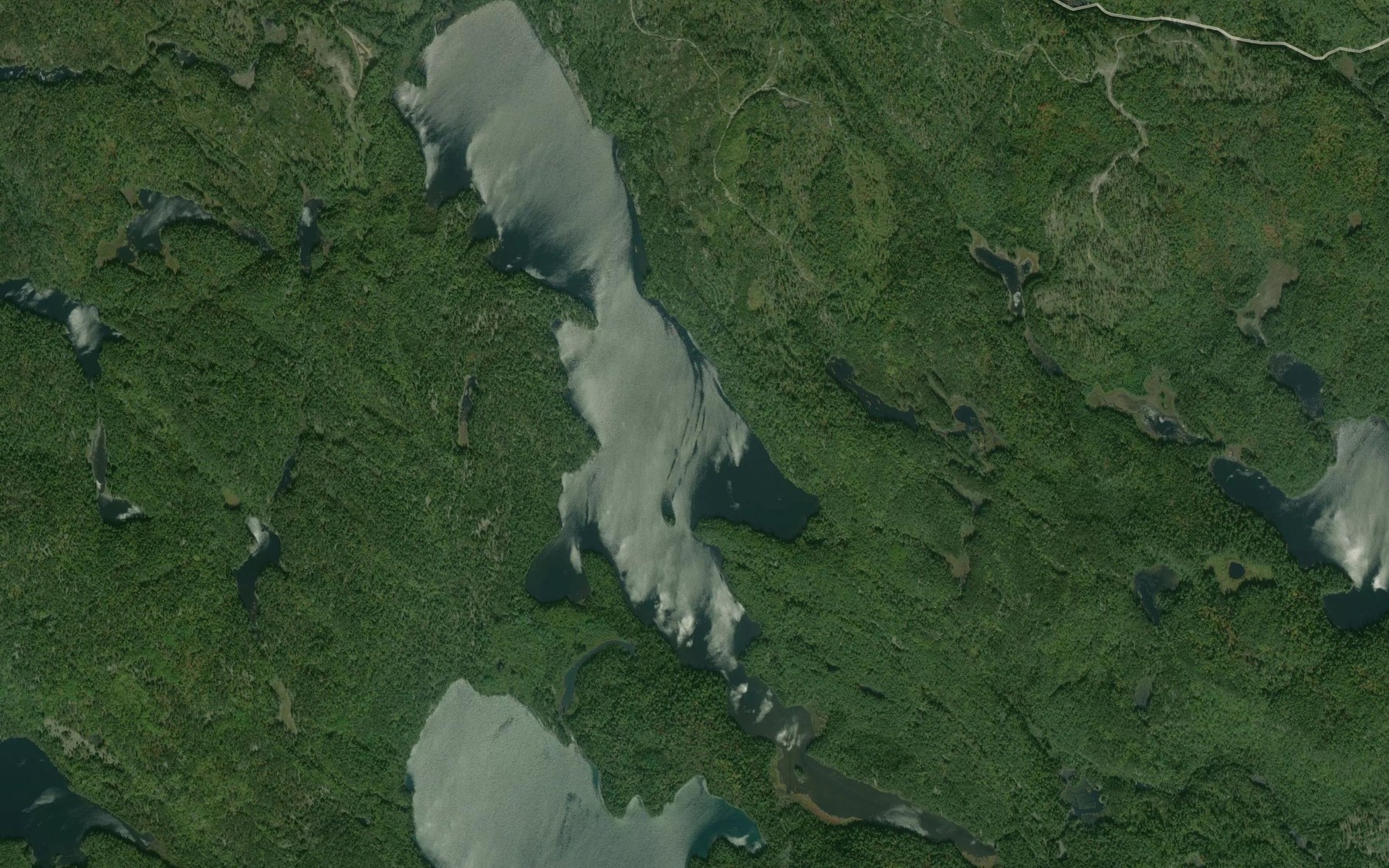 Satellite map of the Duval Lake