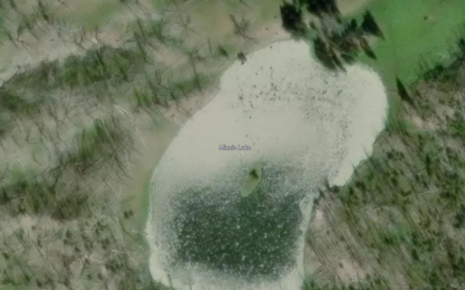 Satellite map of the Minnie Lake
