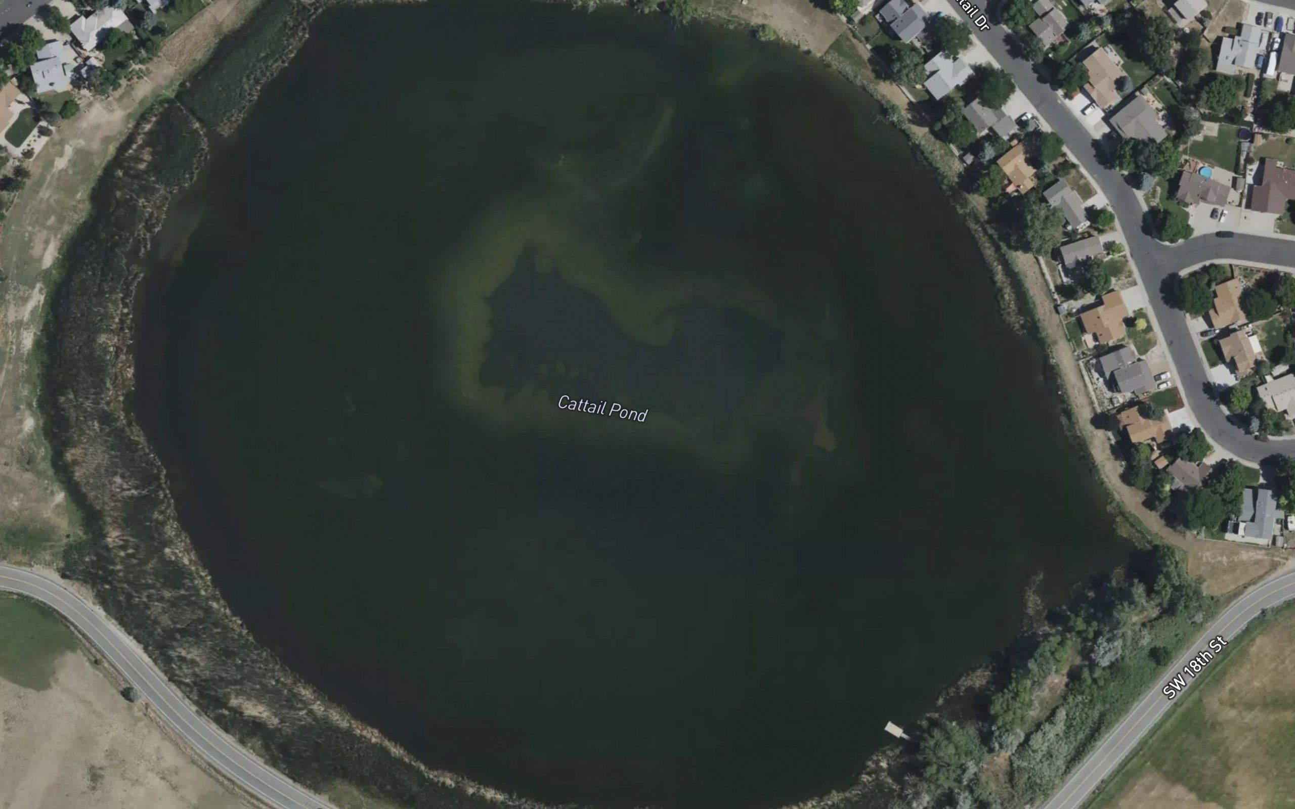 Cattail Pond