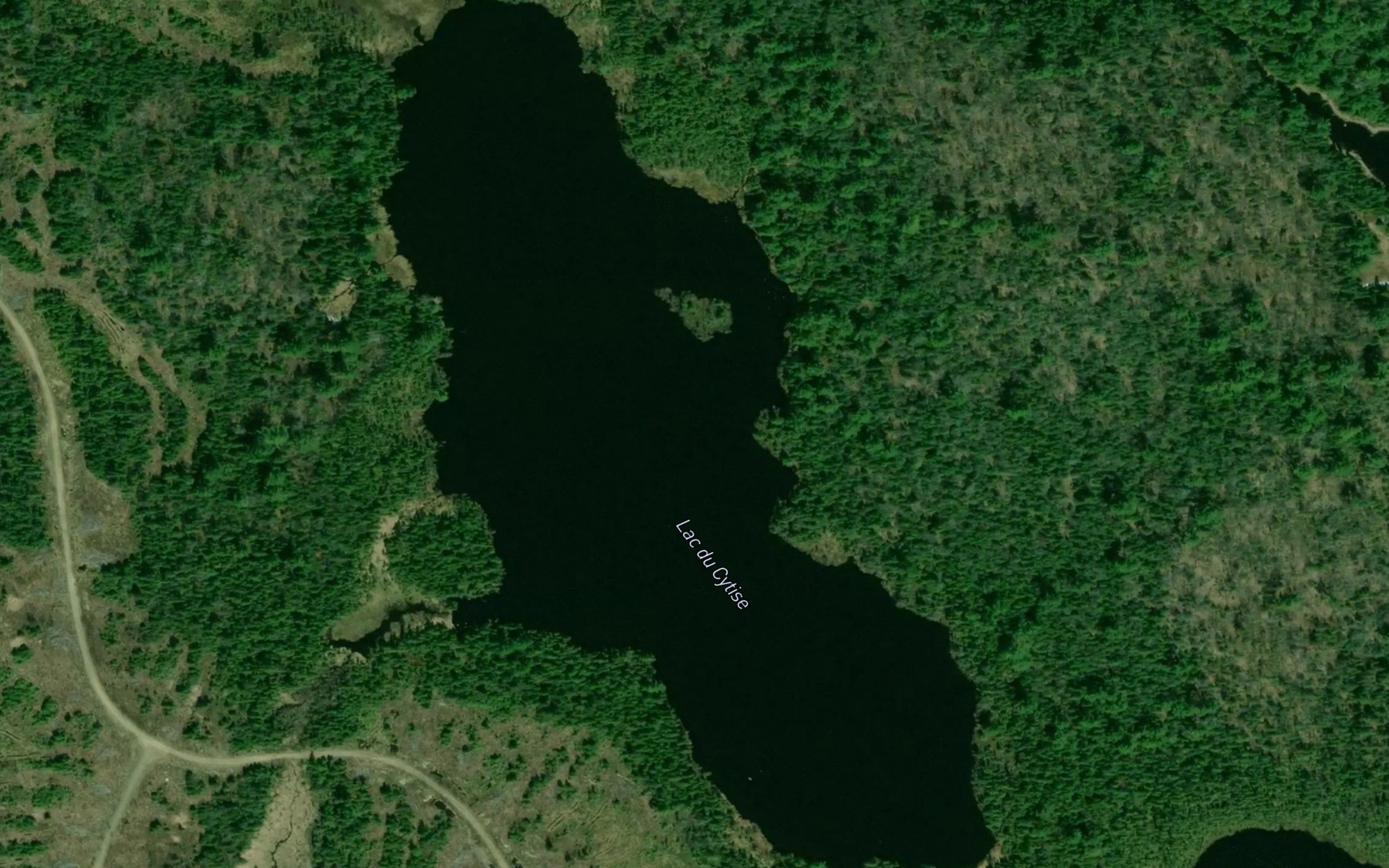 Satellite map of the Lac du Cytise