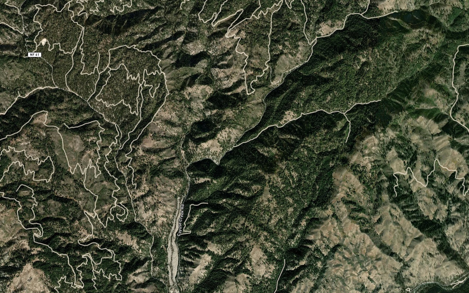 Satellite map of the Little Cayuse Creek