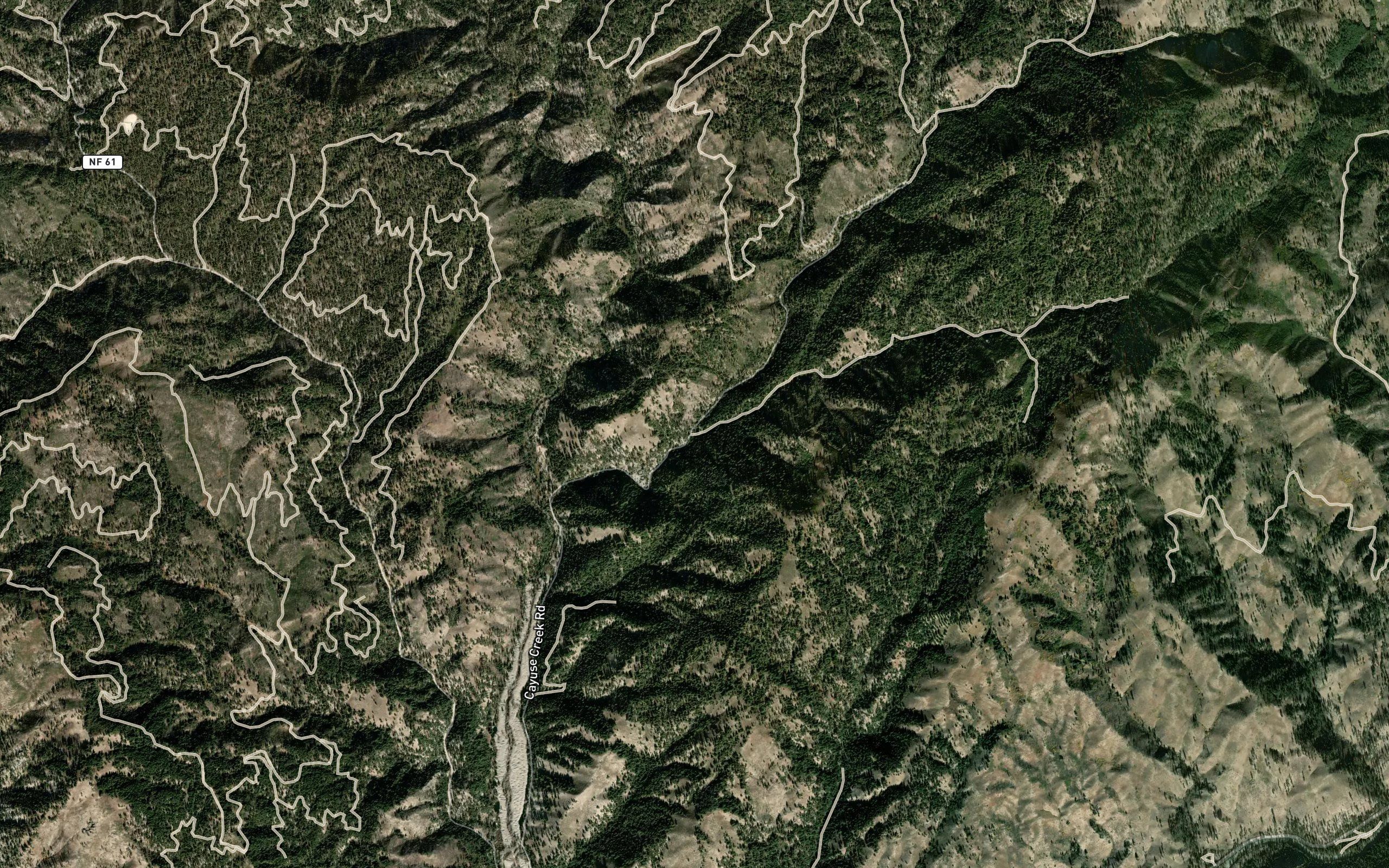 Little Cayuse Creek